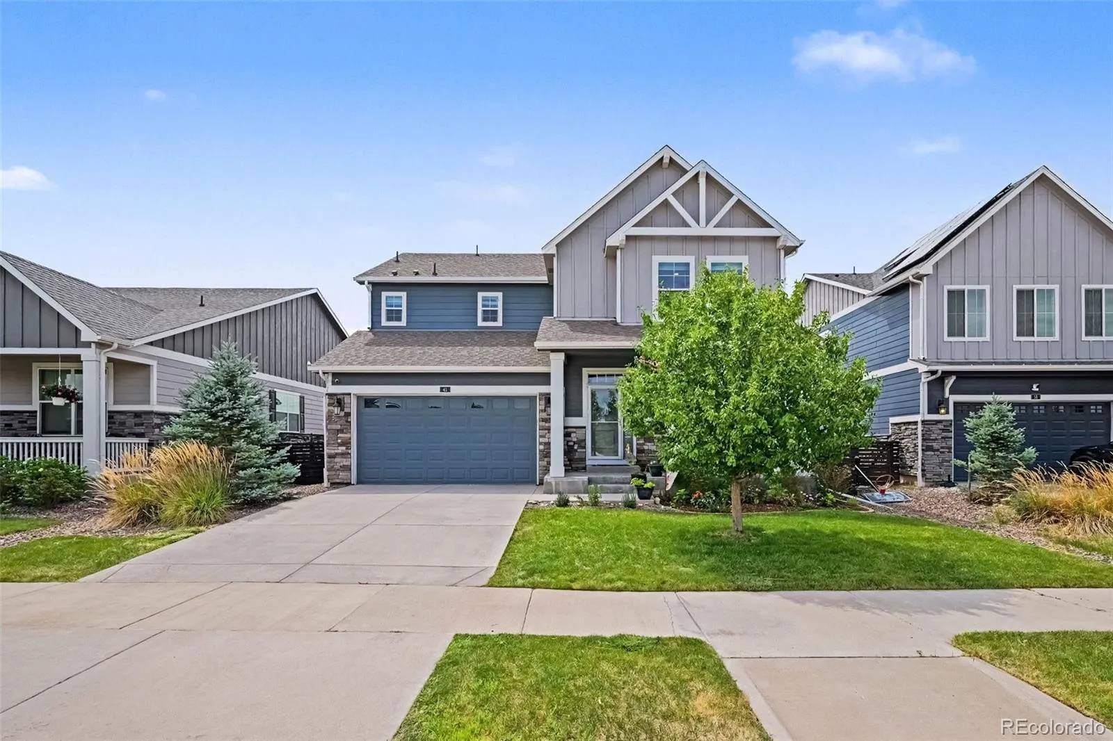 Harmony Subdivision