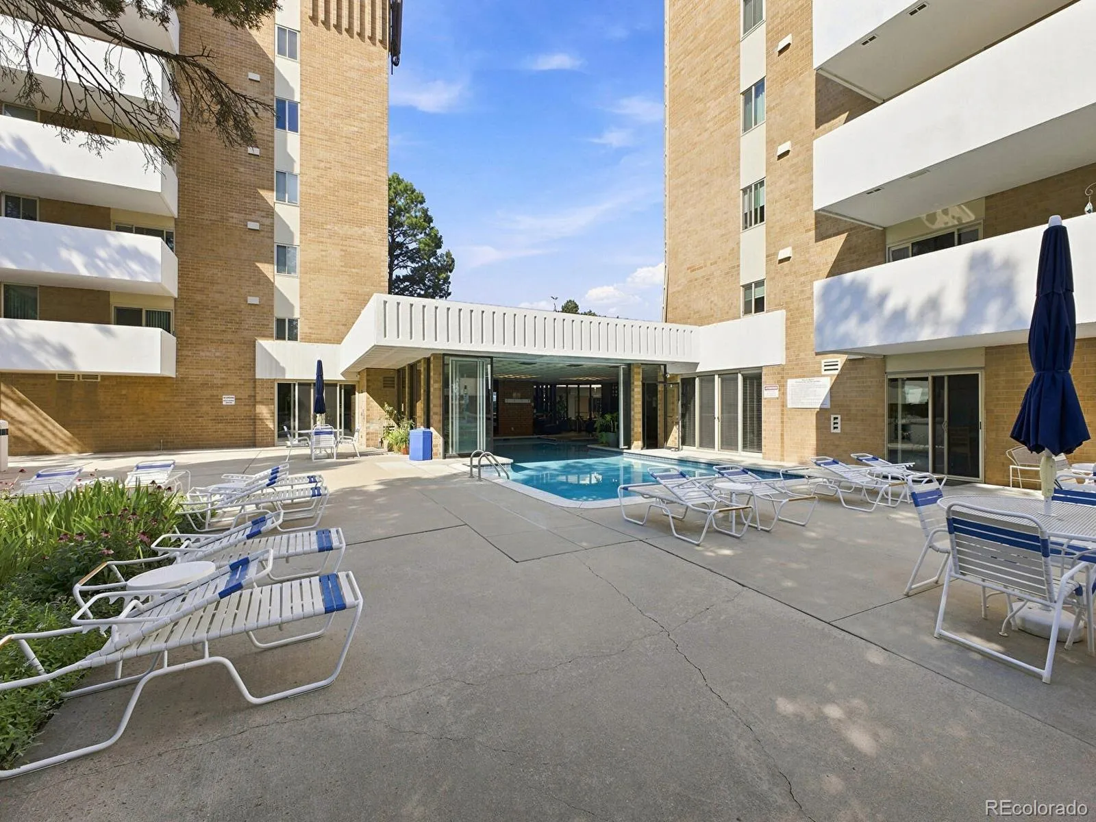 Holly Hills