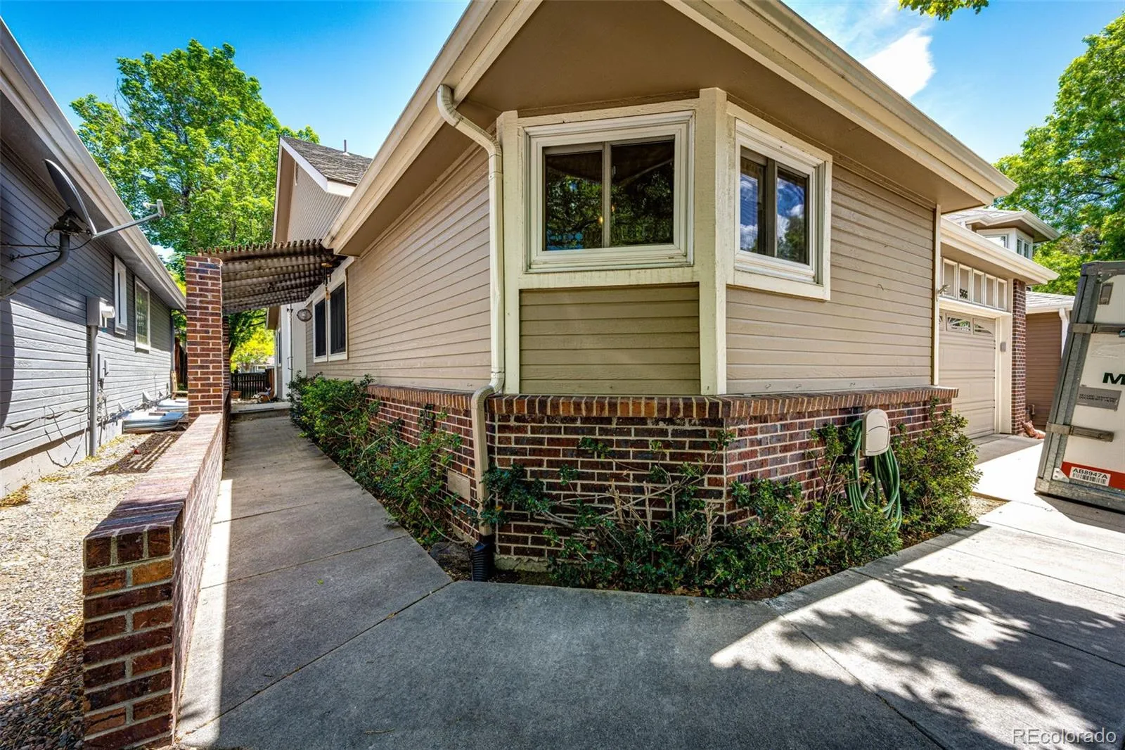 Primrose