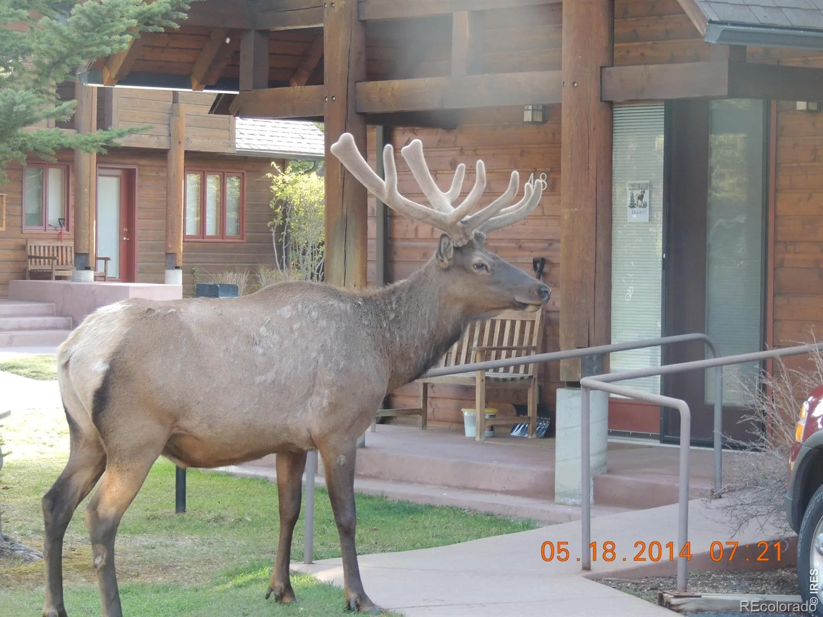 Rams Horn Village Condo