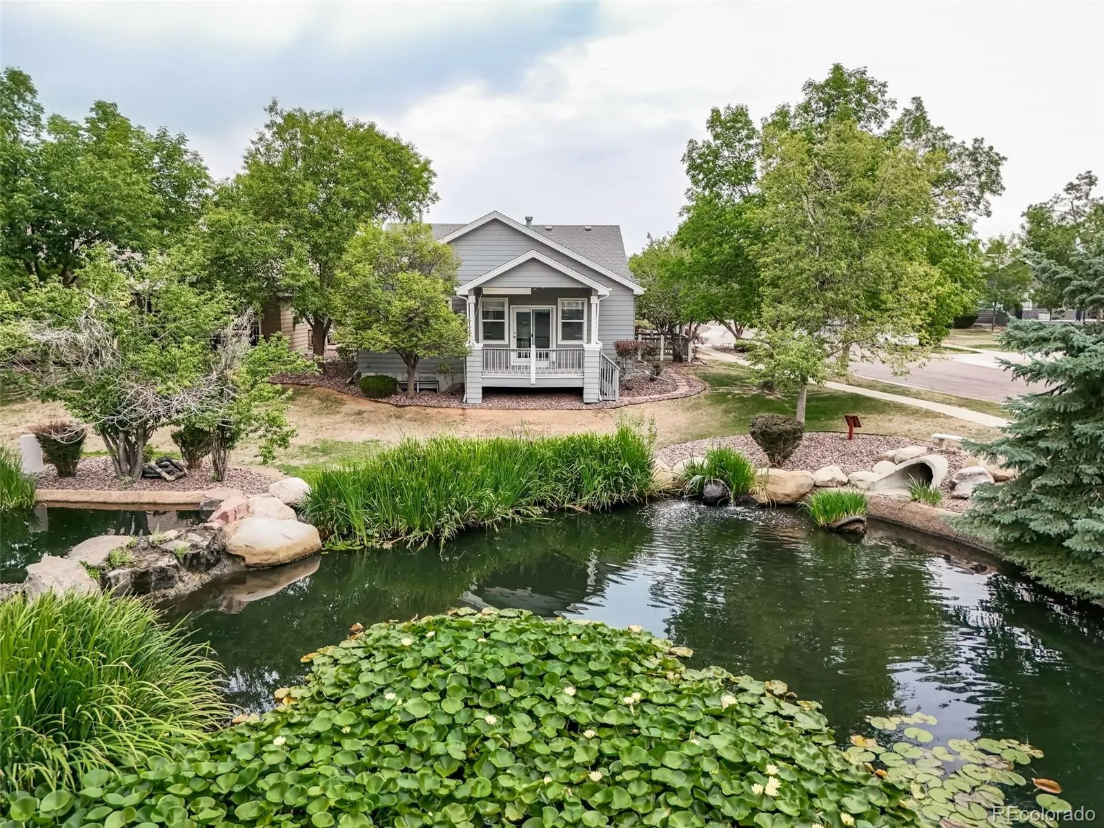 Forest Springs