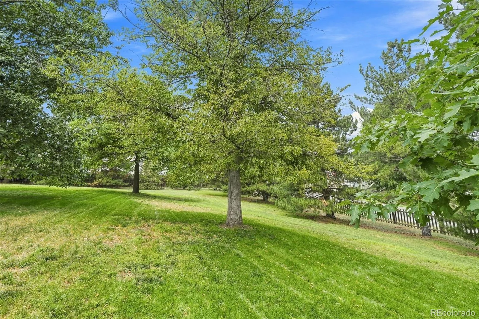 Wadsworth Acres