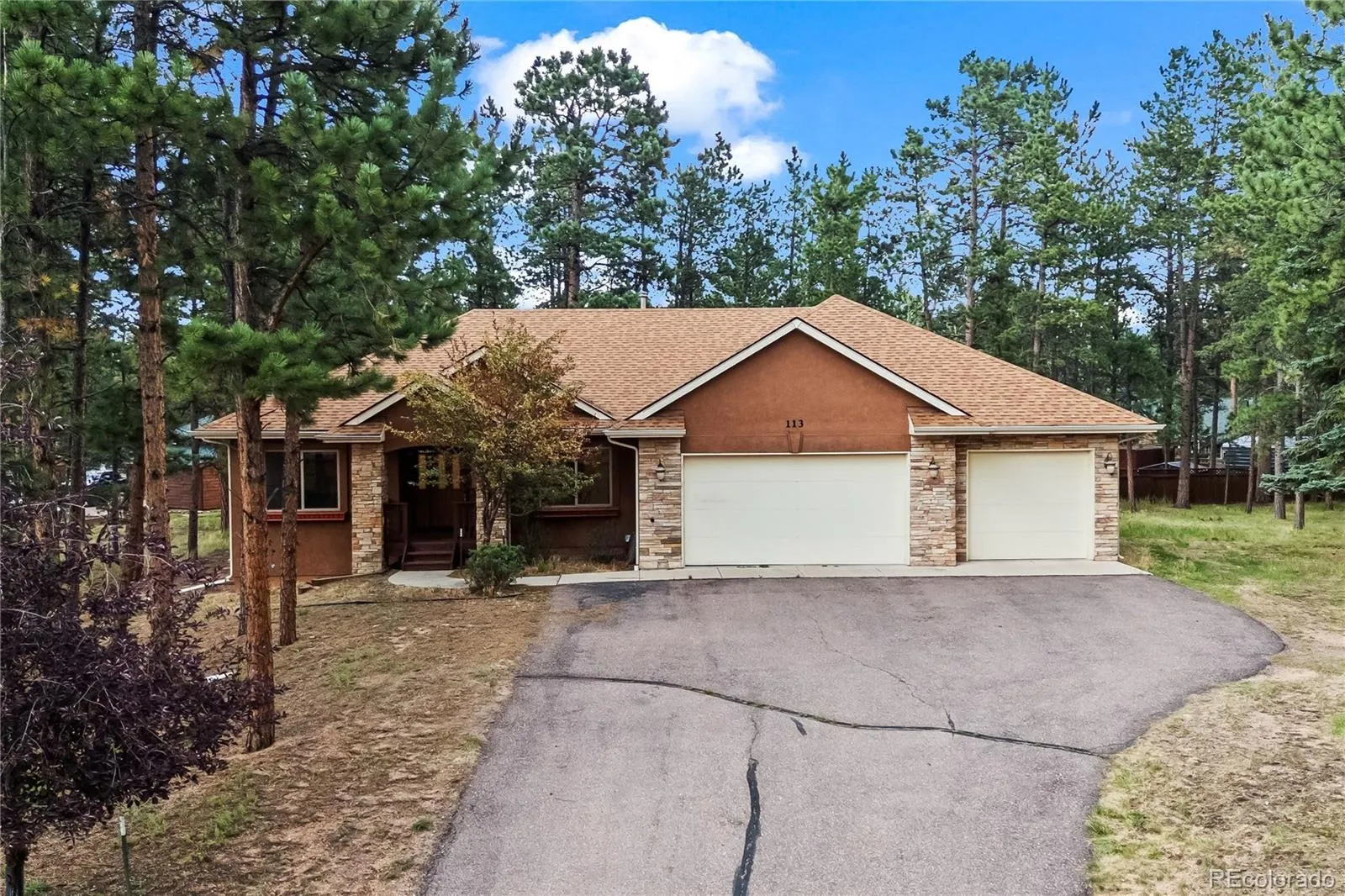 Fairway Pines