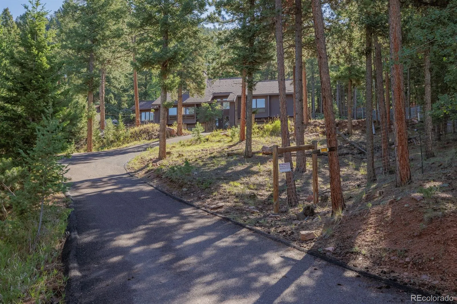 Forest Edge Park