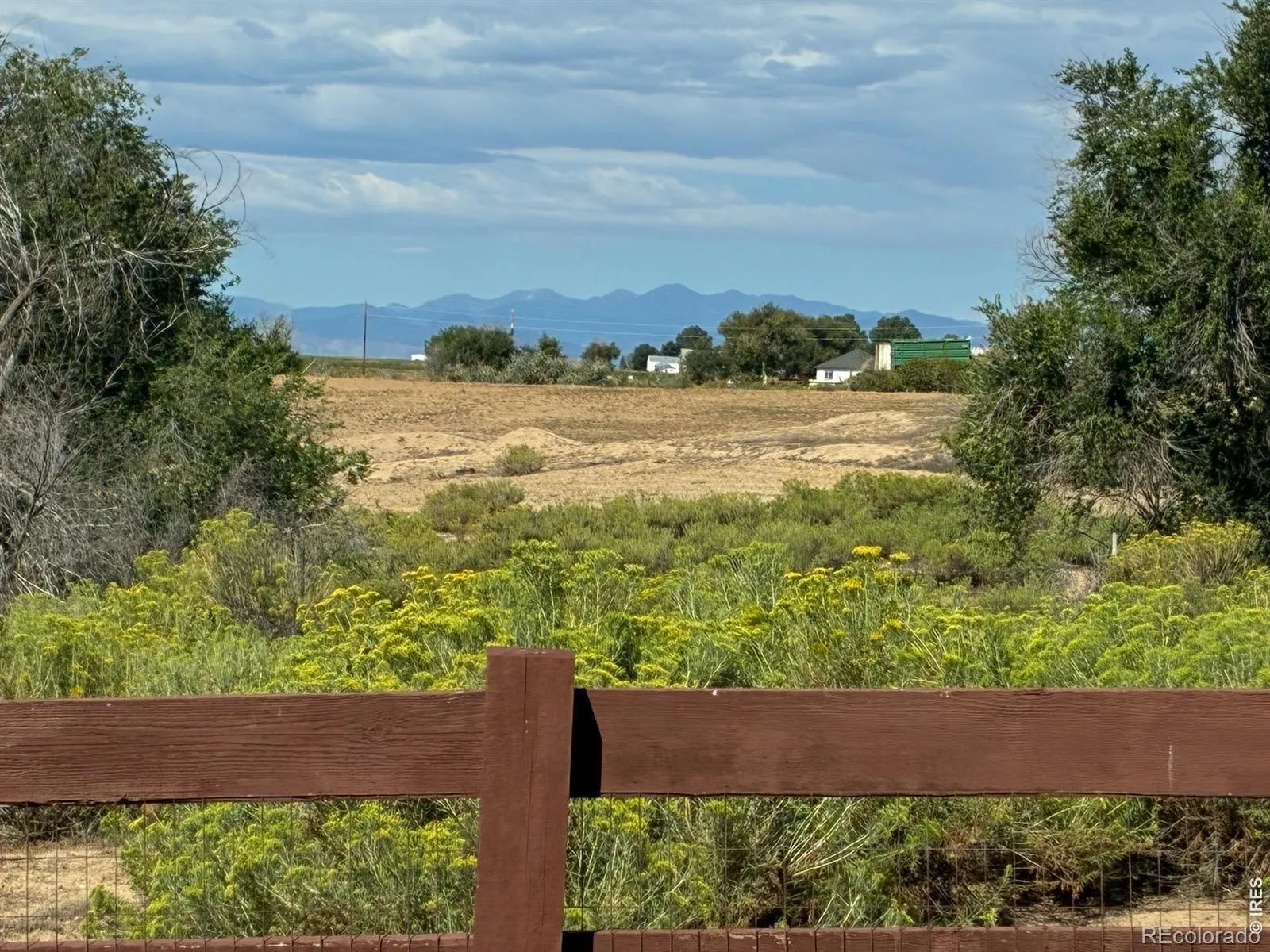 Water Valley South