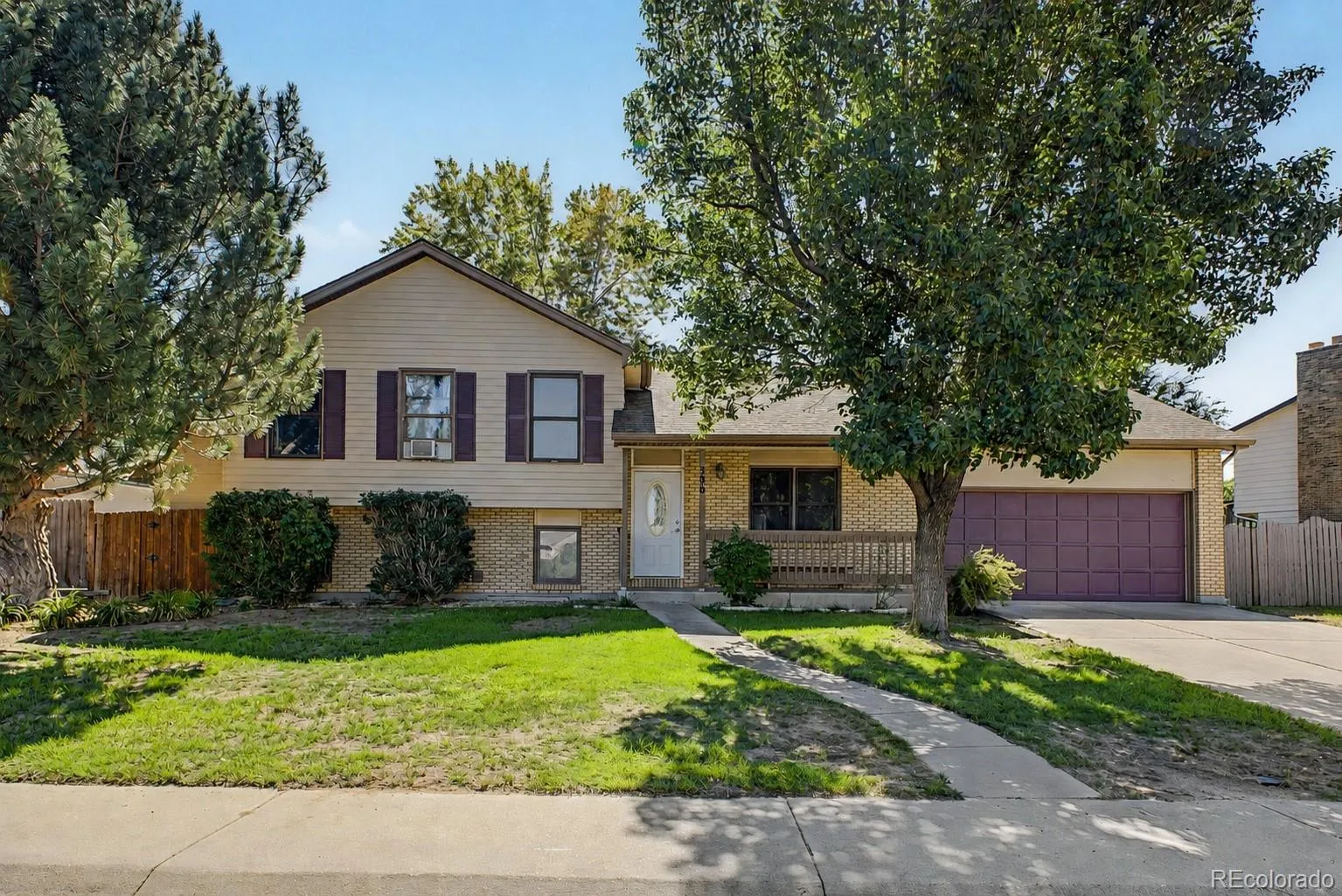 Cottonwood Vista