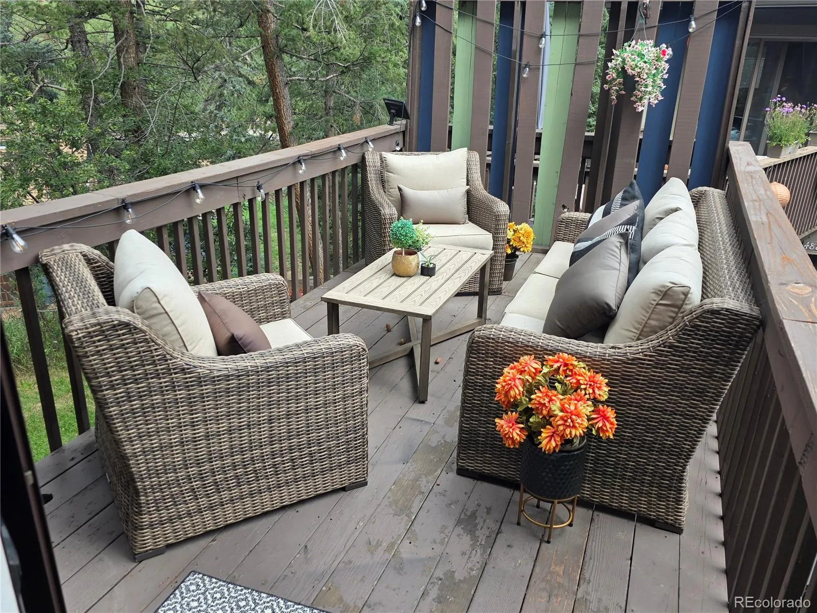 Silver Spruce Village