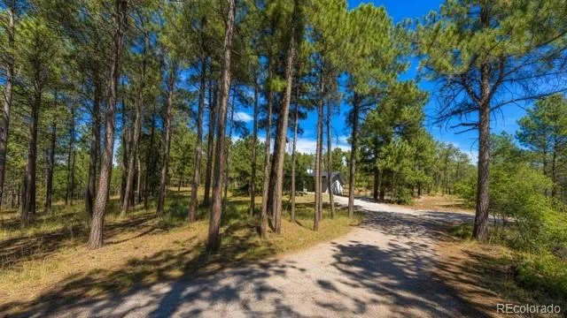 Spruce Mountain Estates