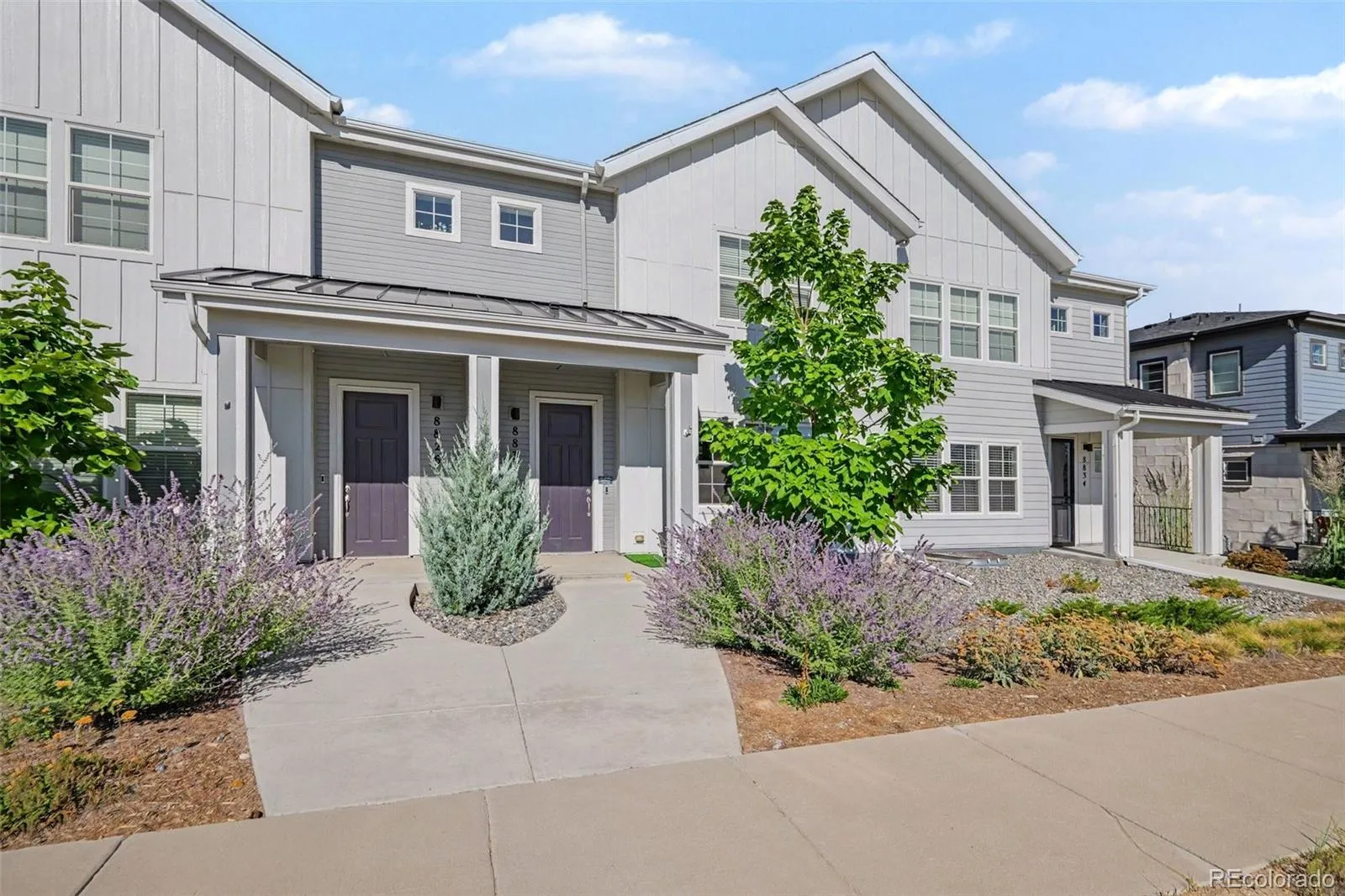 Prospect Village at Sterling Ranch
