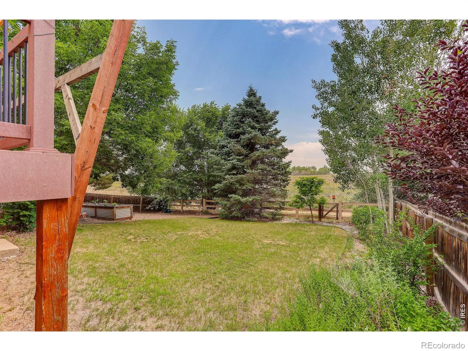 Canyon Creek Flg 4