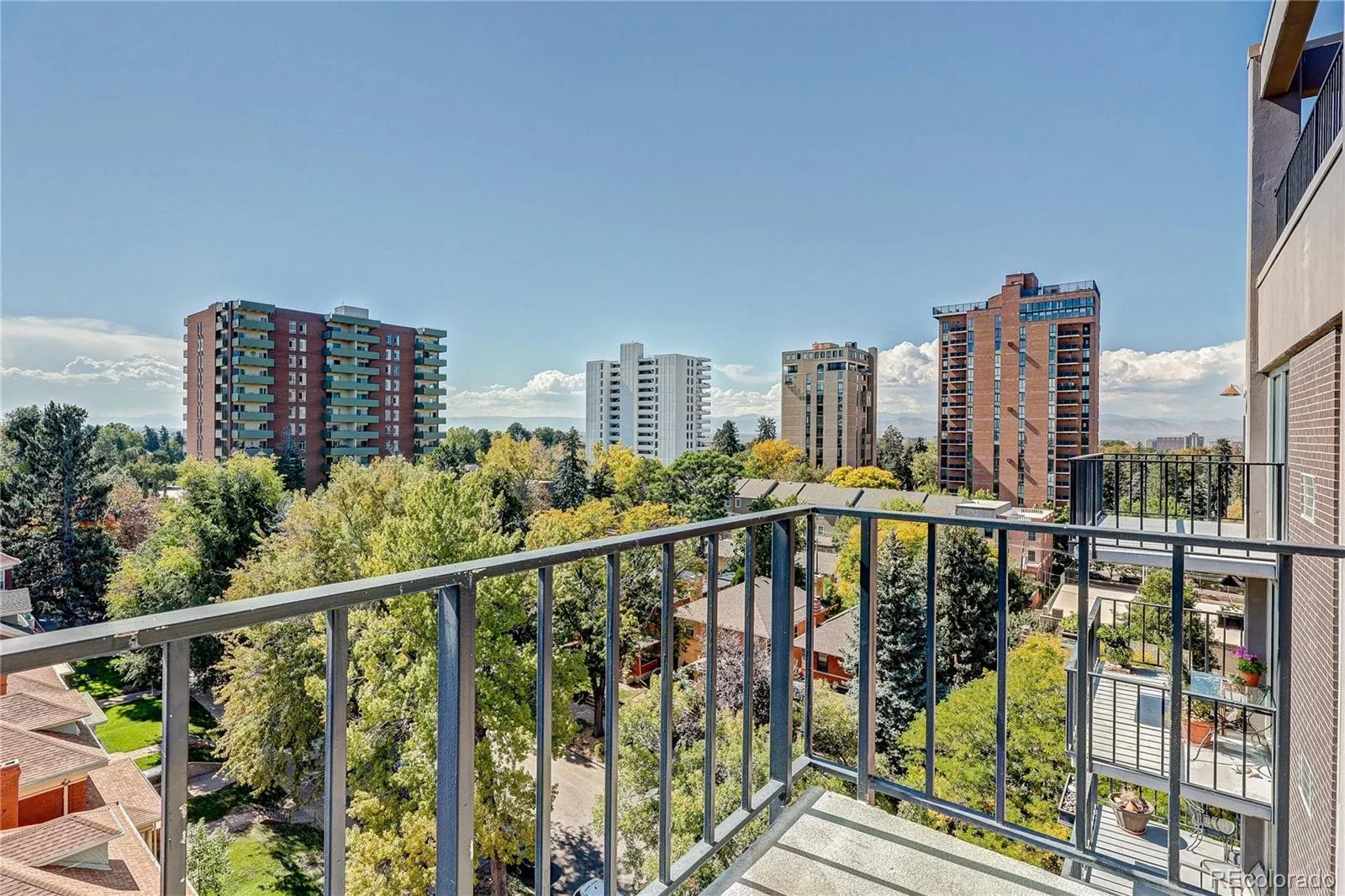 CHEESEMAN PARK