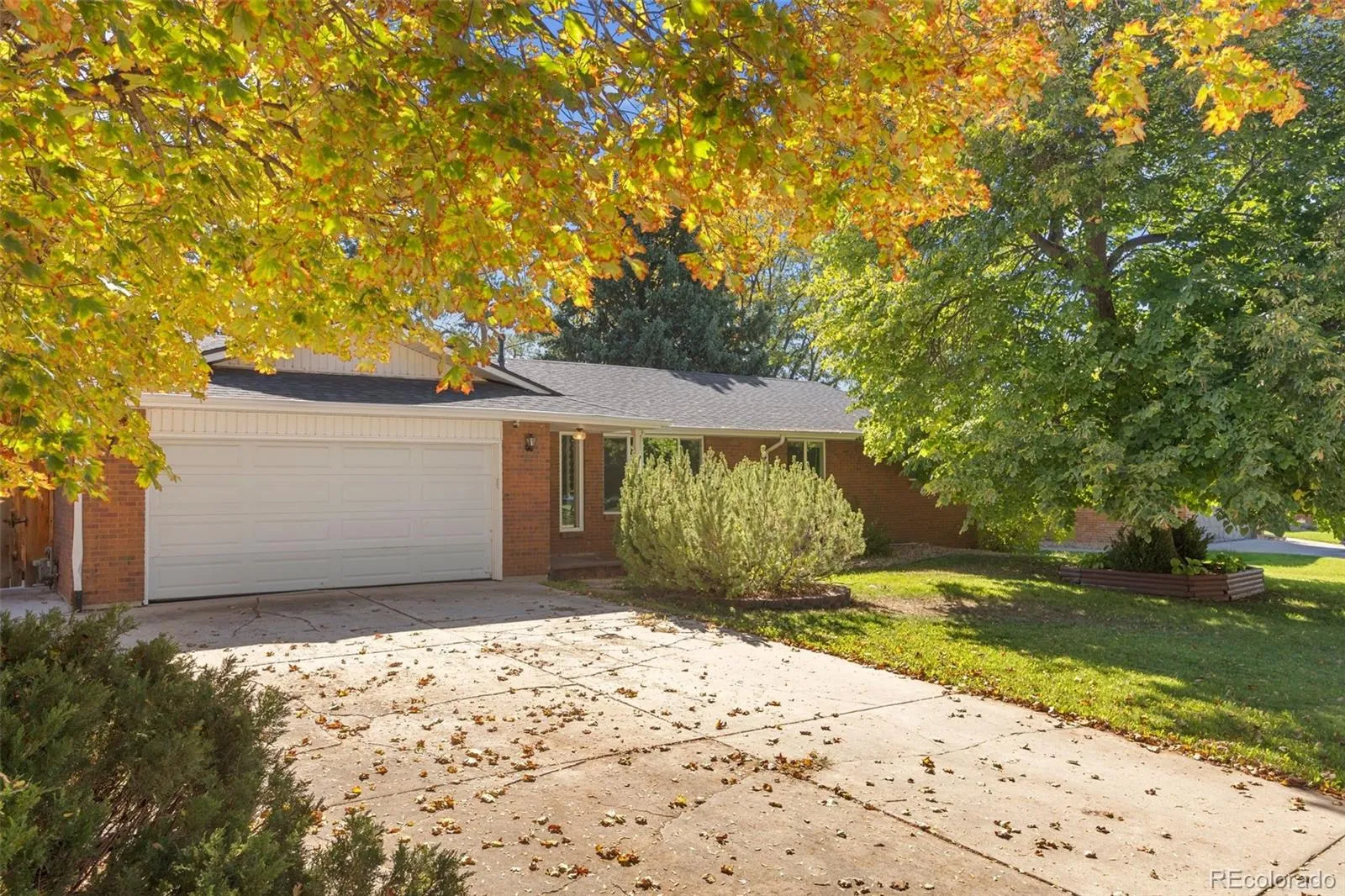 Longmont Estates 6
