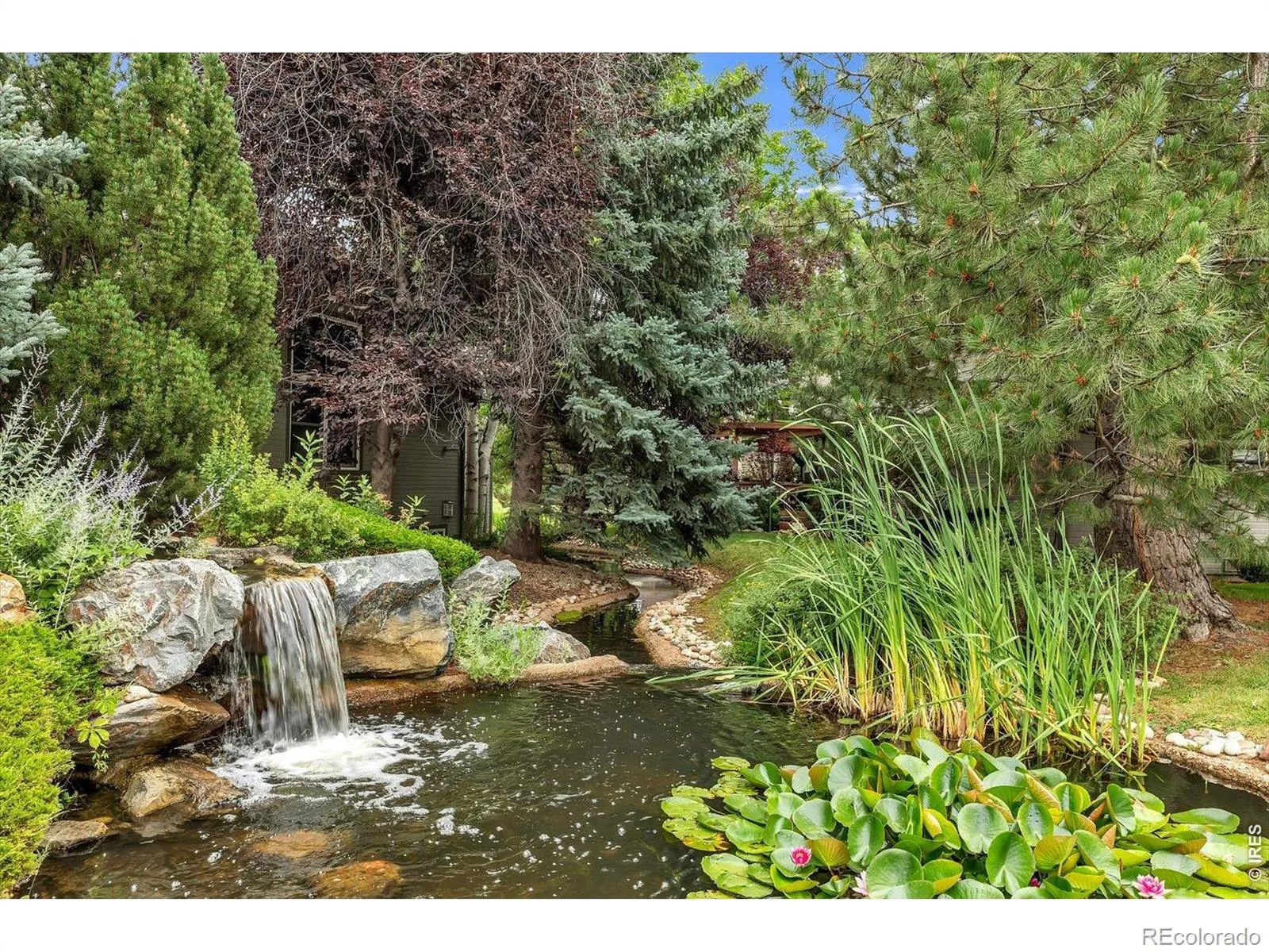 Coal Creek Ranch Flg 2