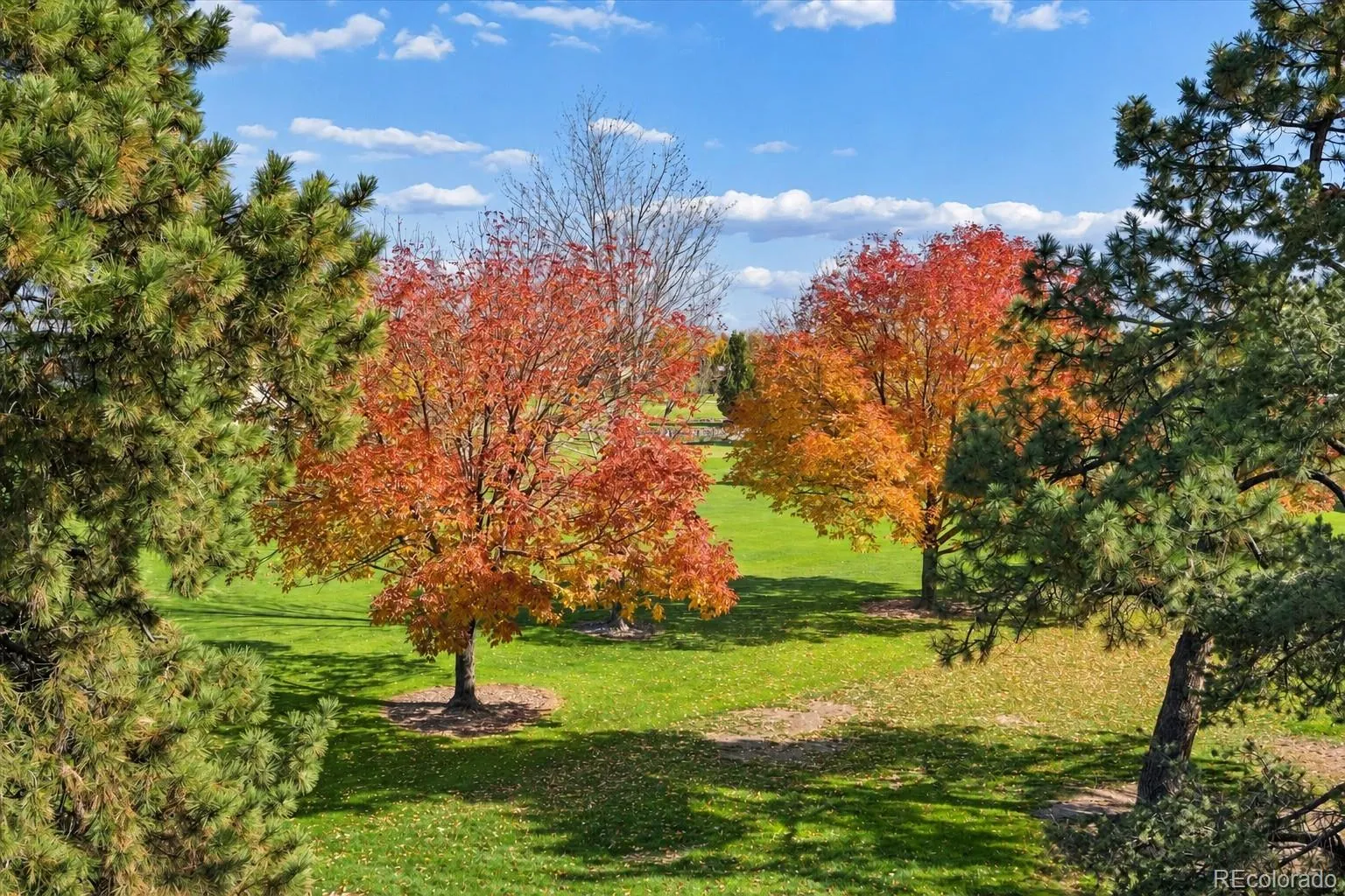 Windsor Gardens