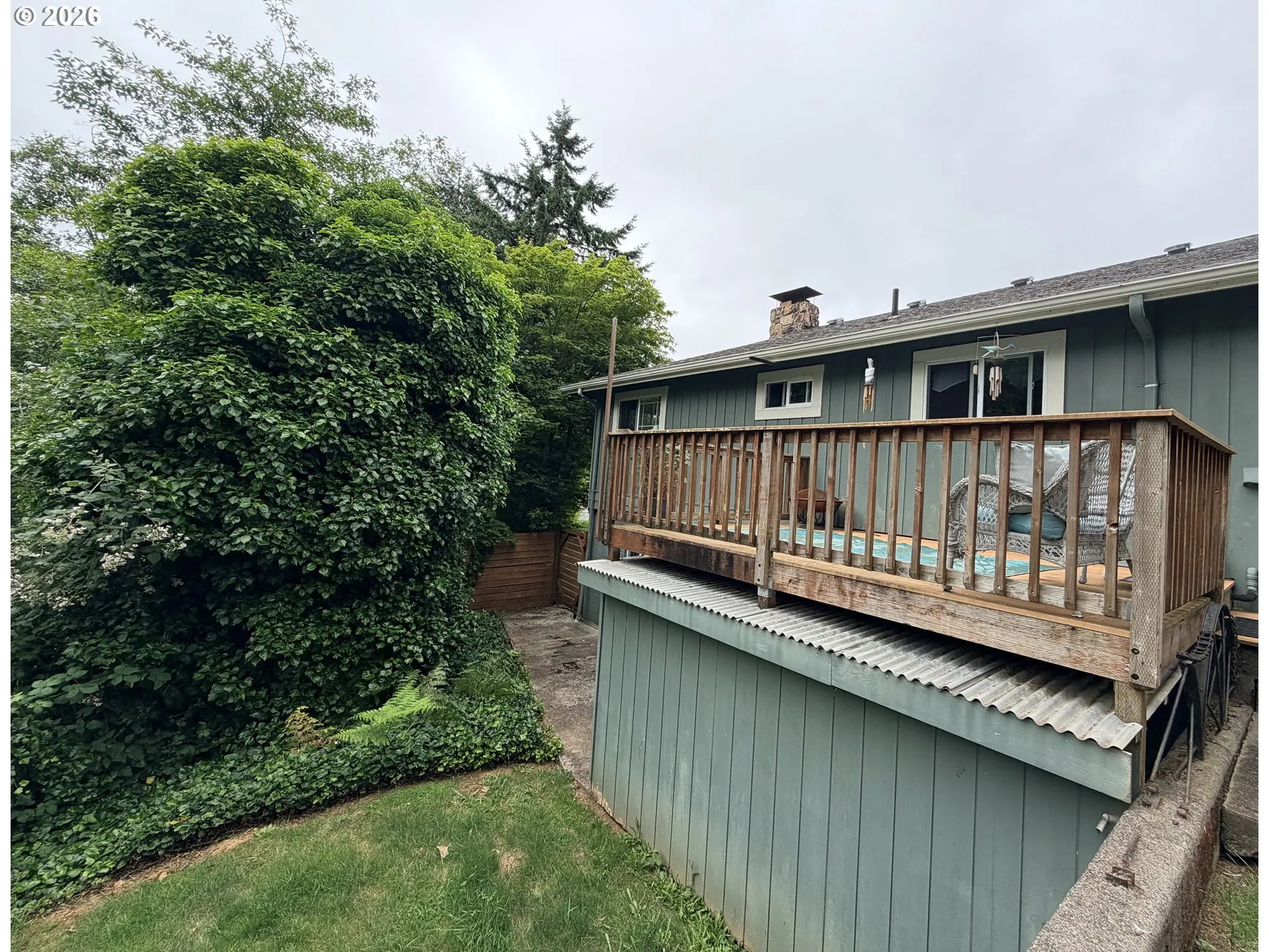 Backyard