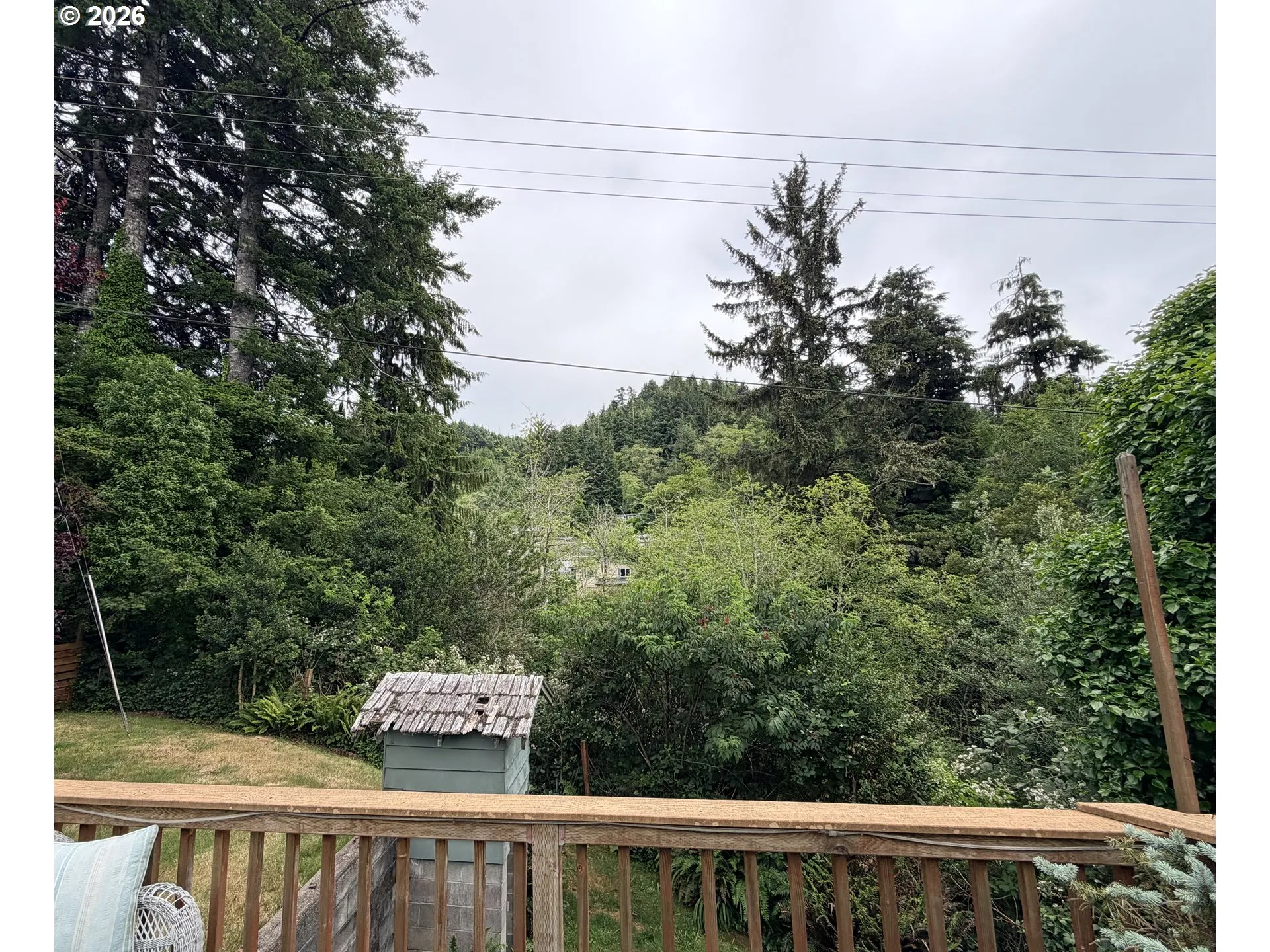 Backyard-View From