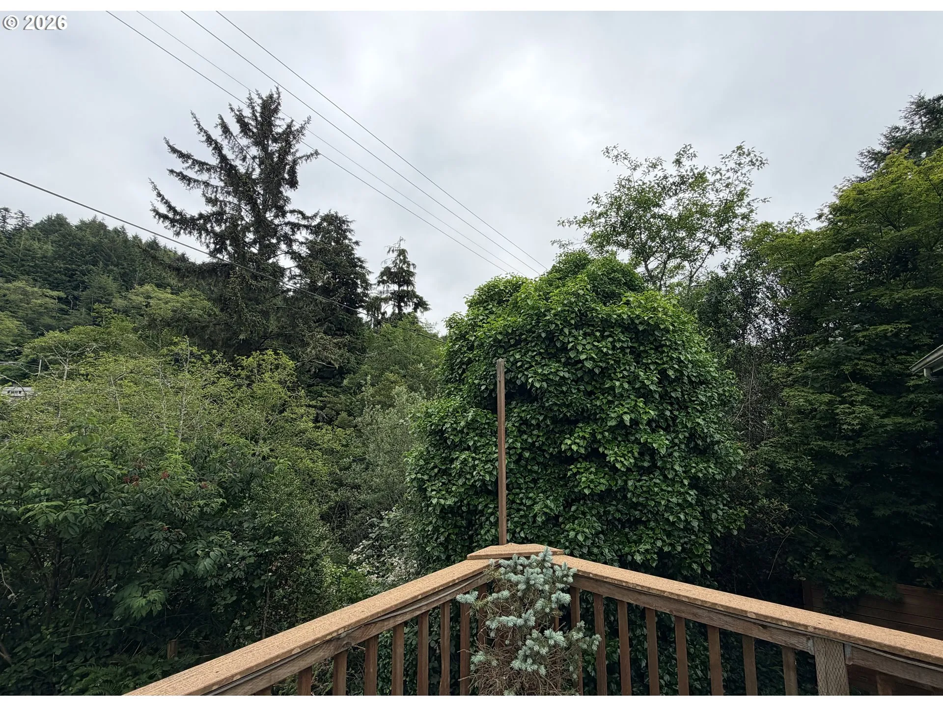 Backyard-View From