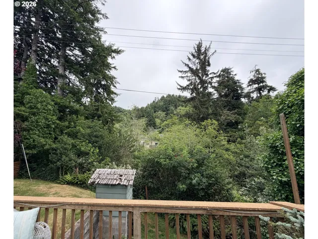Backyard-View From