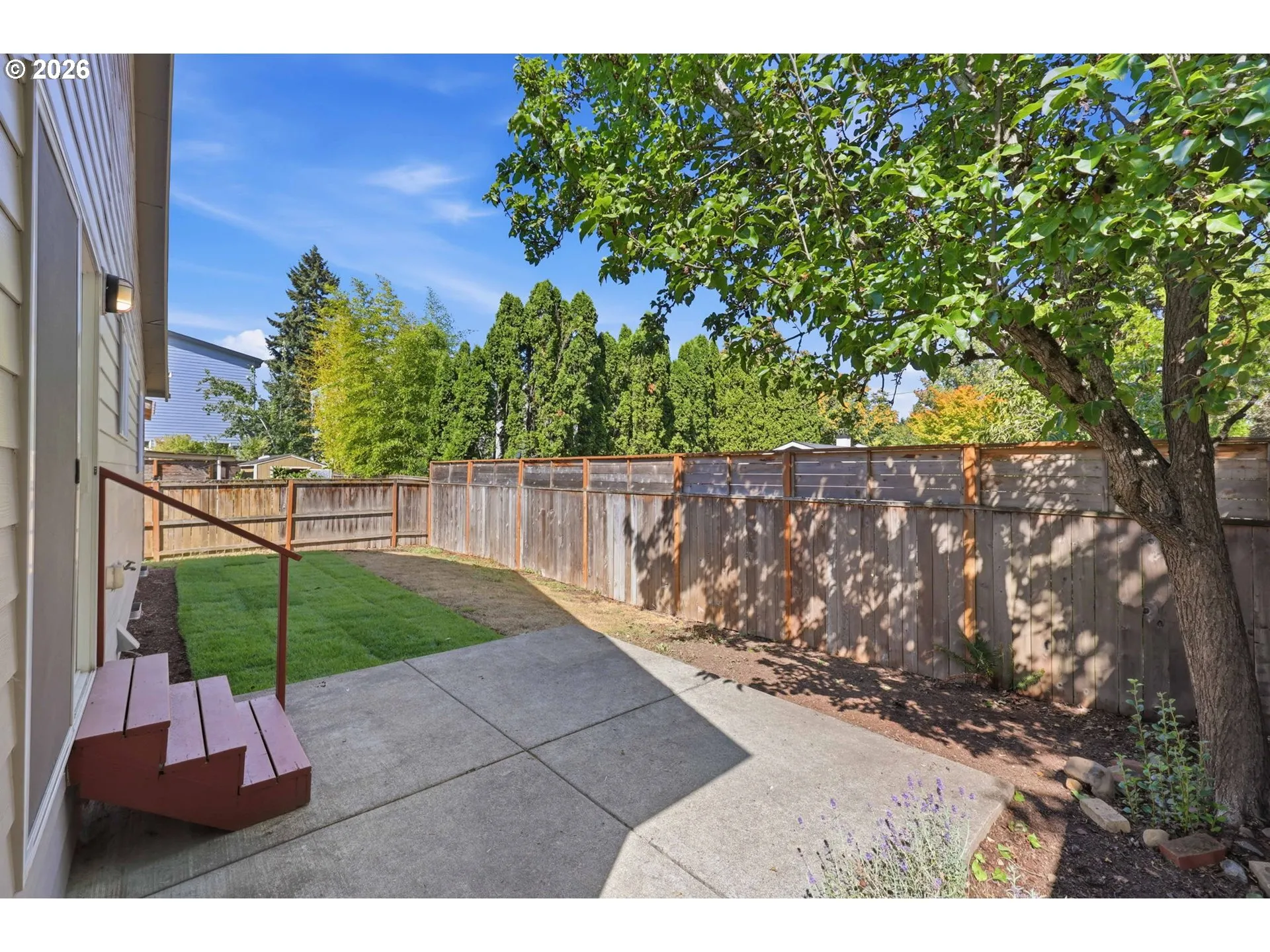 Backyard