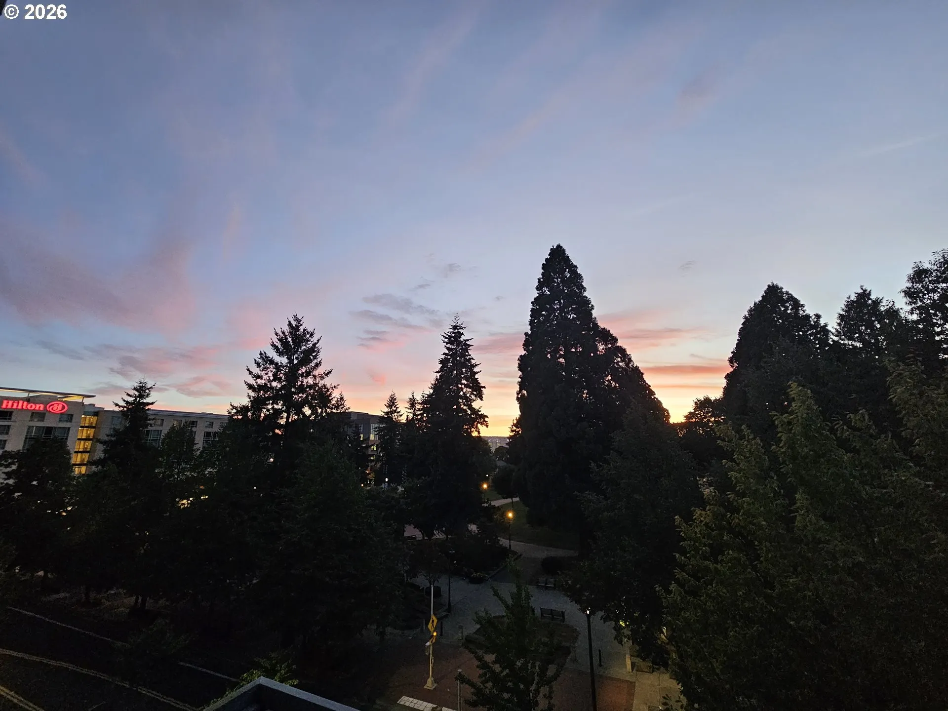 View