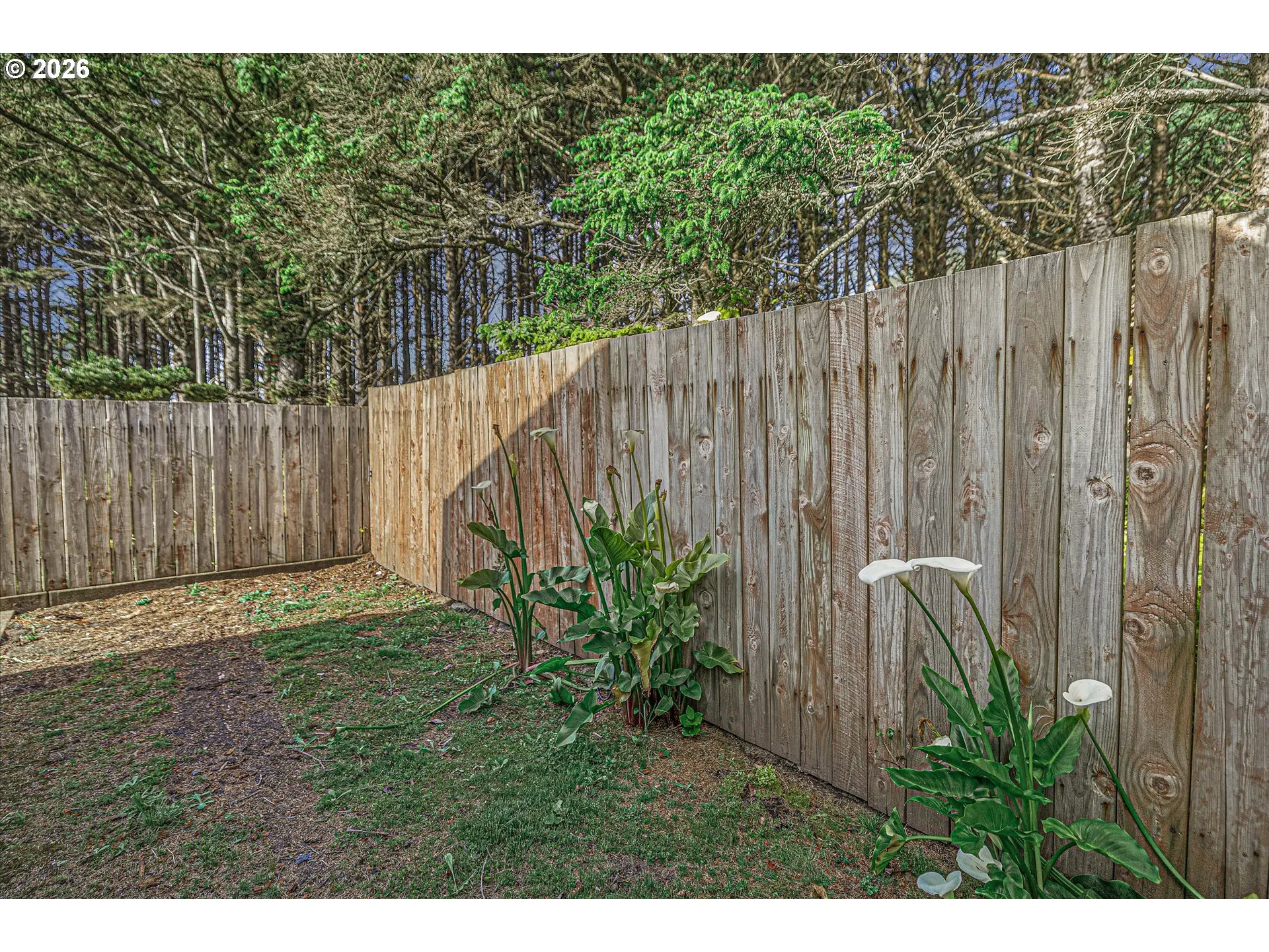 Backyard-Fenced