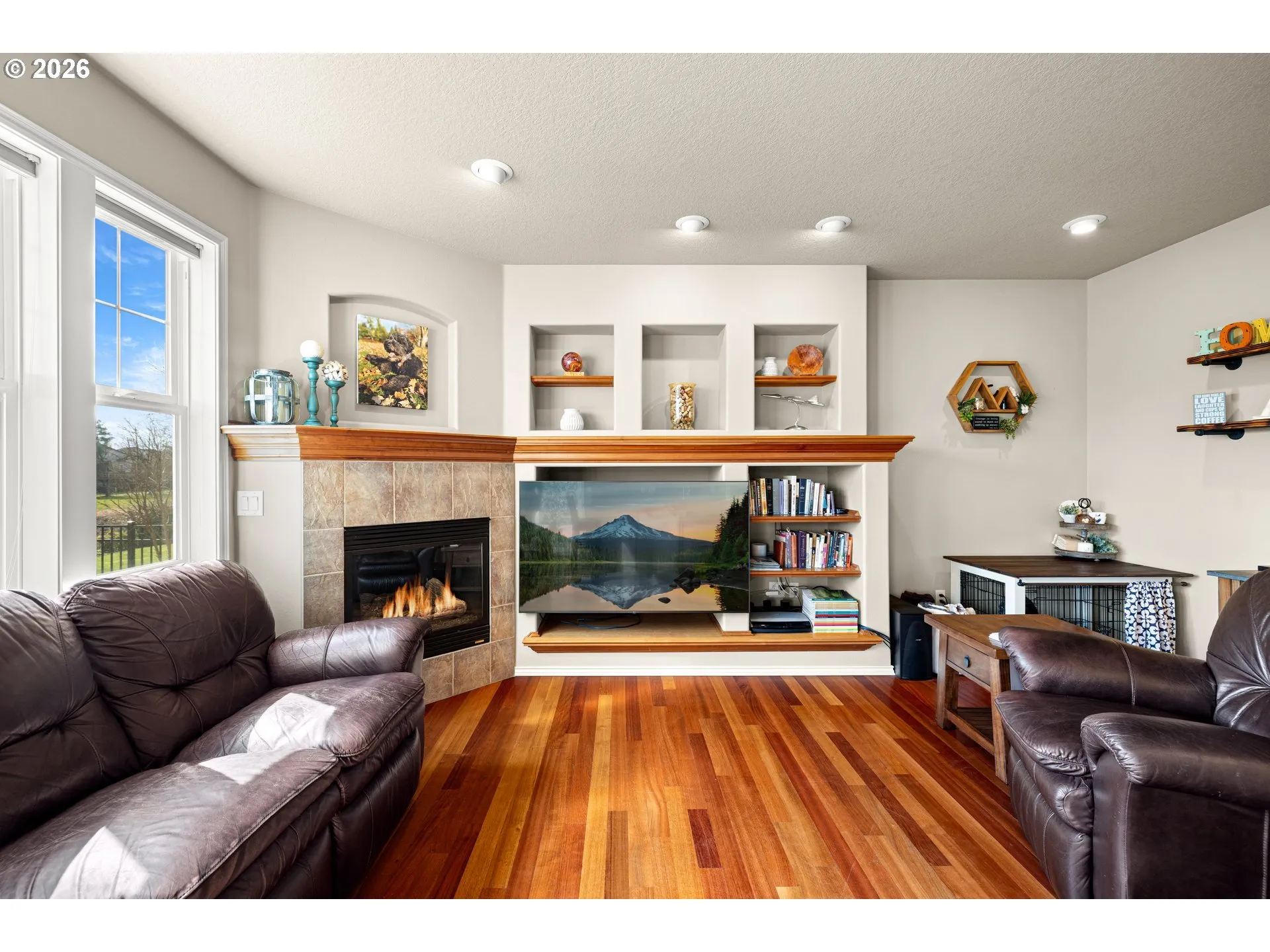 Fireplace Gas