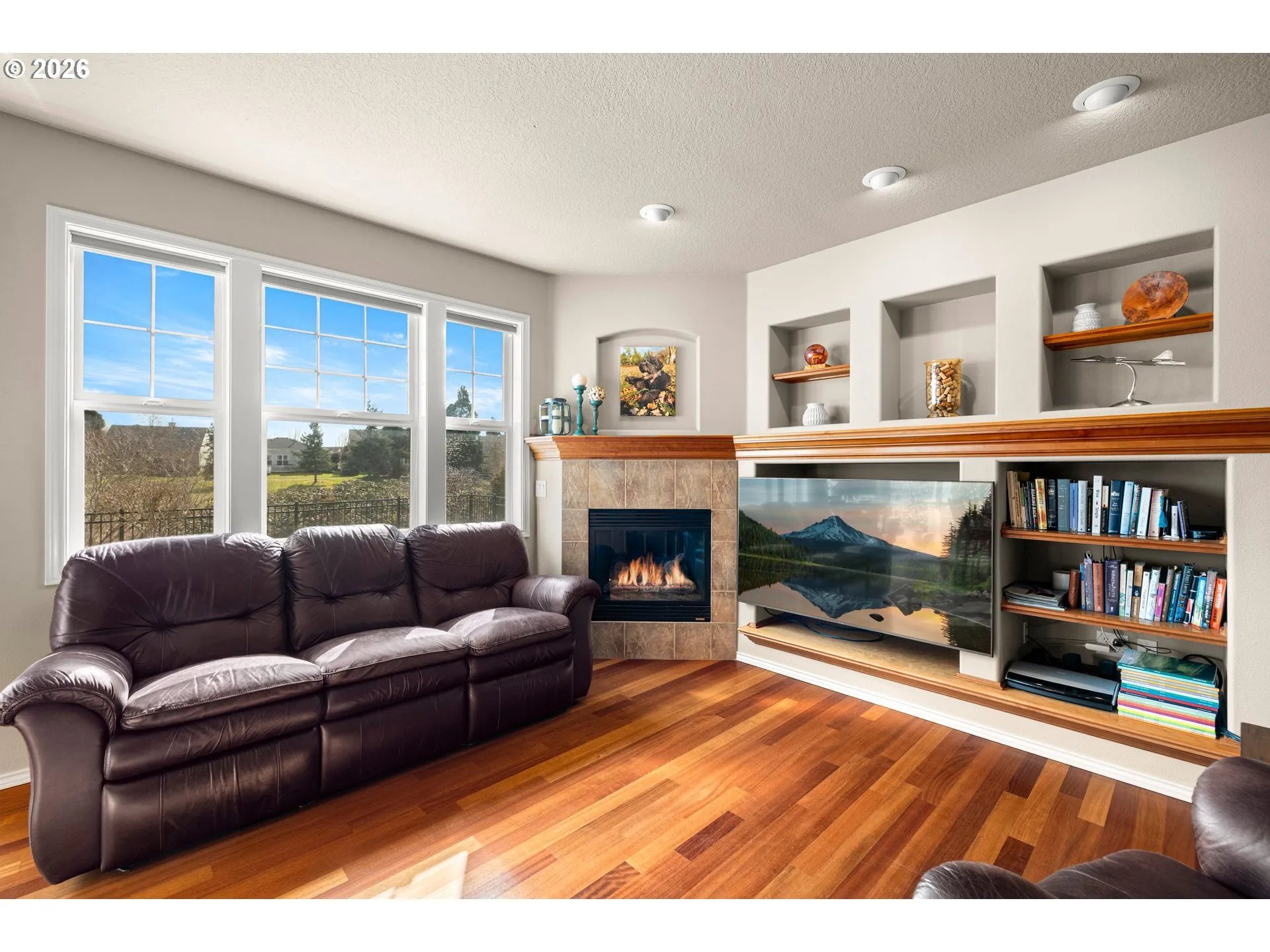 Fireplace Gas