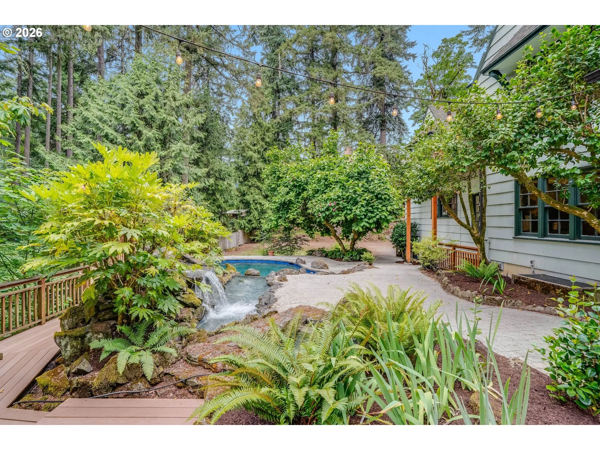 Backyard-View From