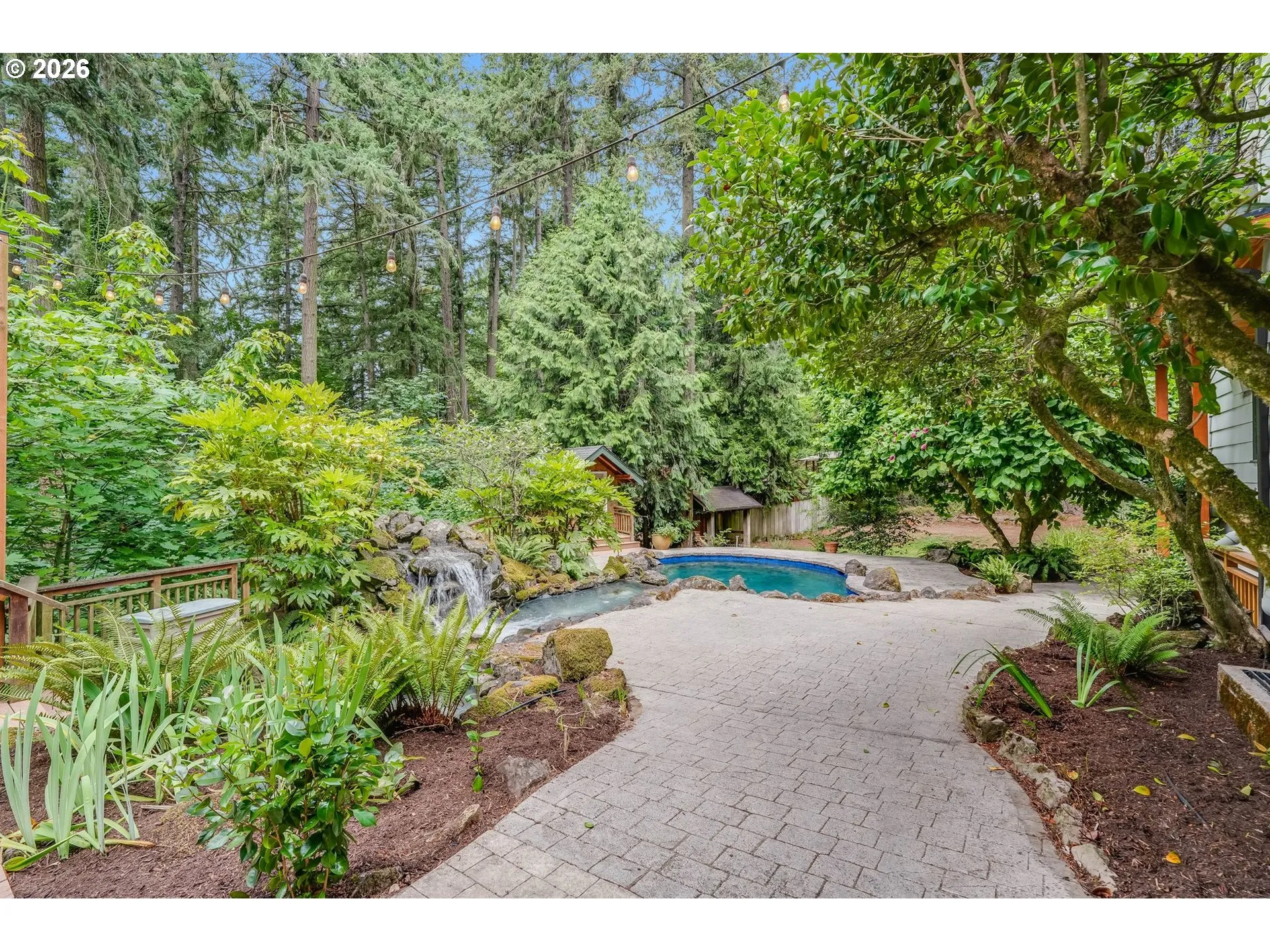 Backyard-View From