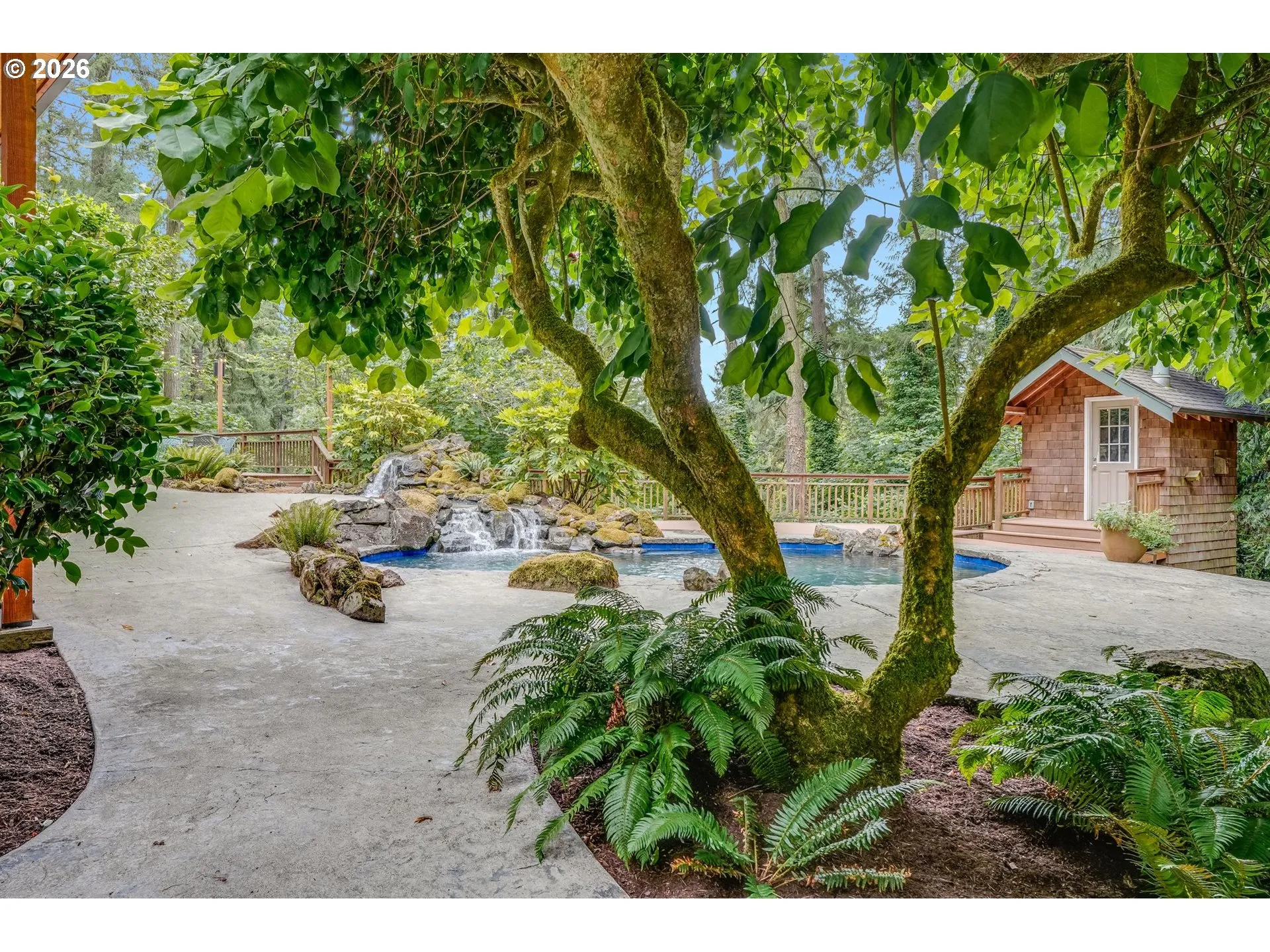 Backyard-View From