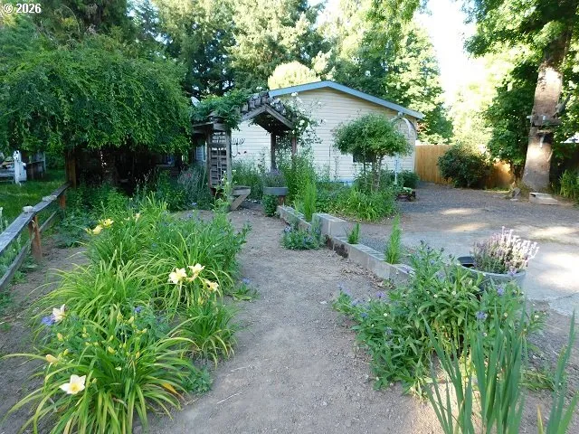 Front Yard