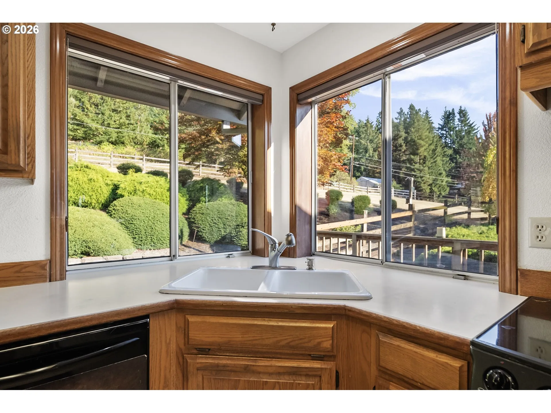 Kitchen-View From