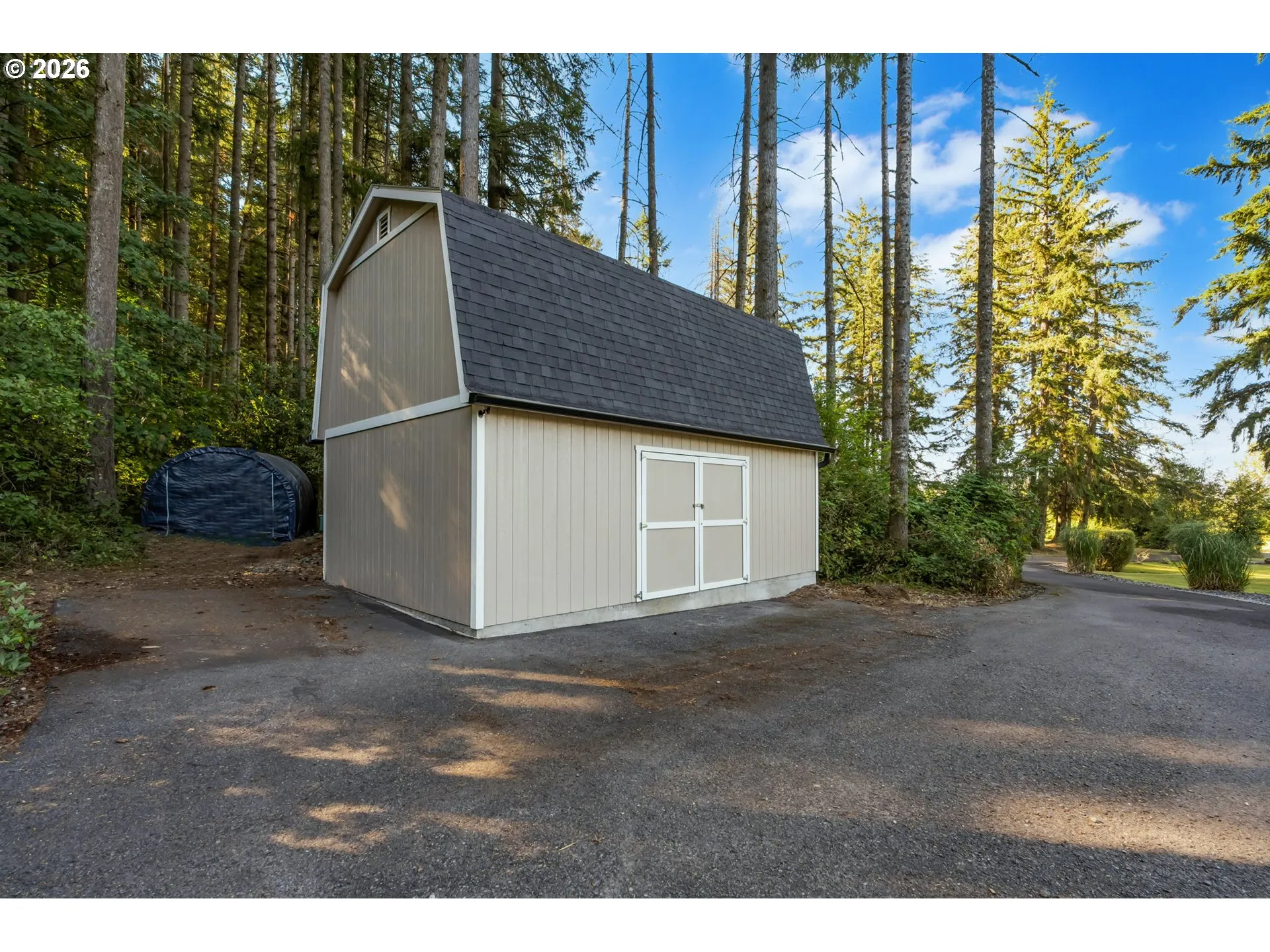 Shed-# 1