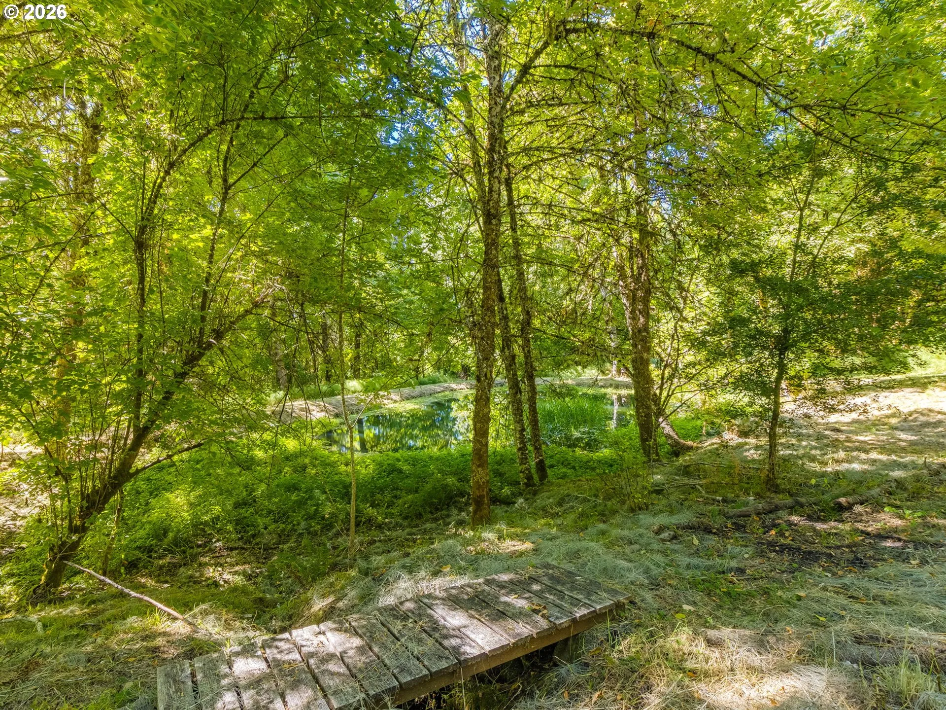 Pond