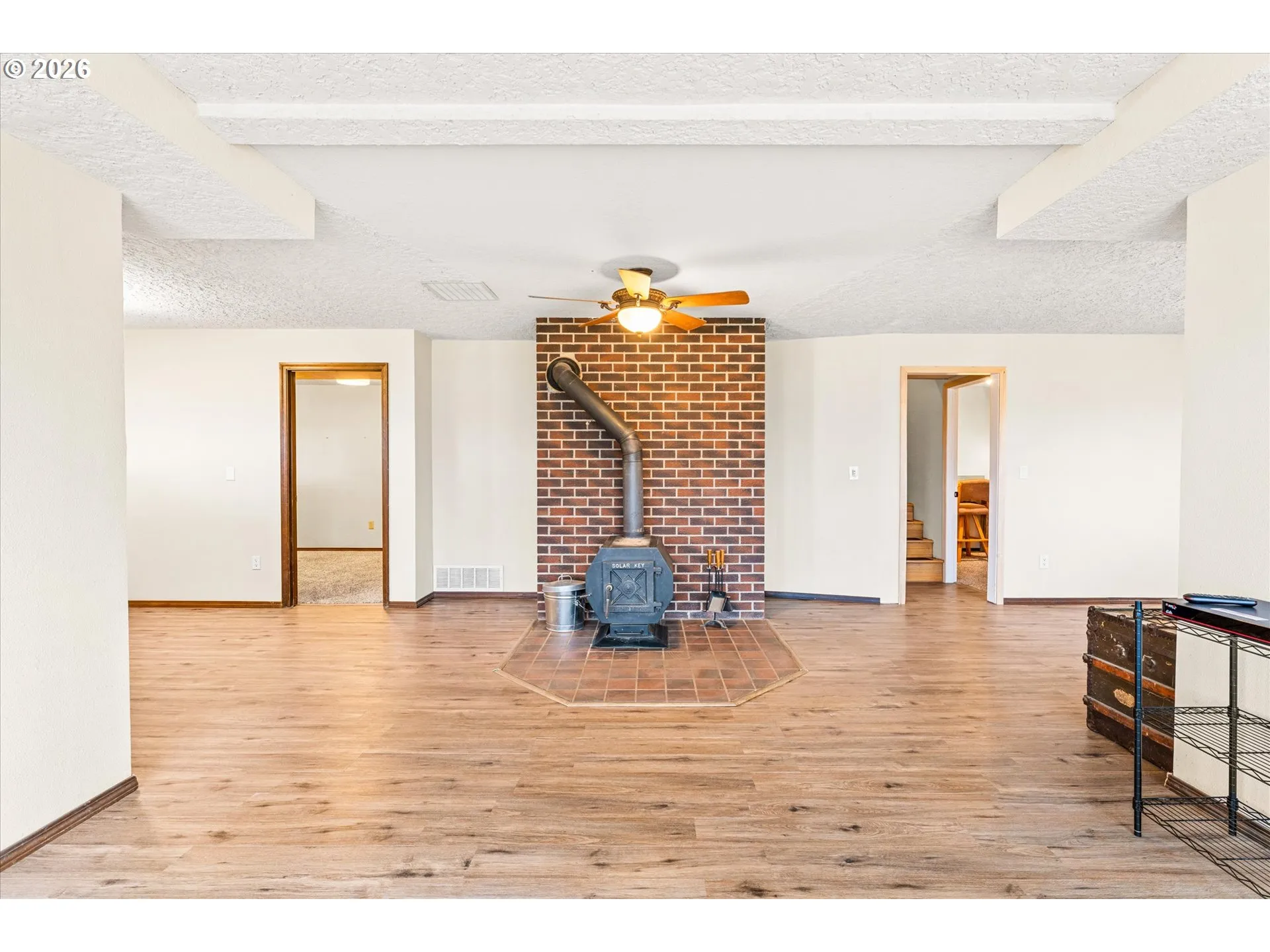 Fireplace Wood Burning Stove/Insert