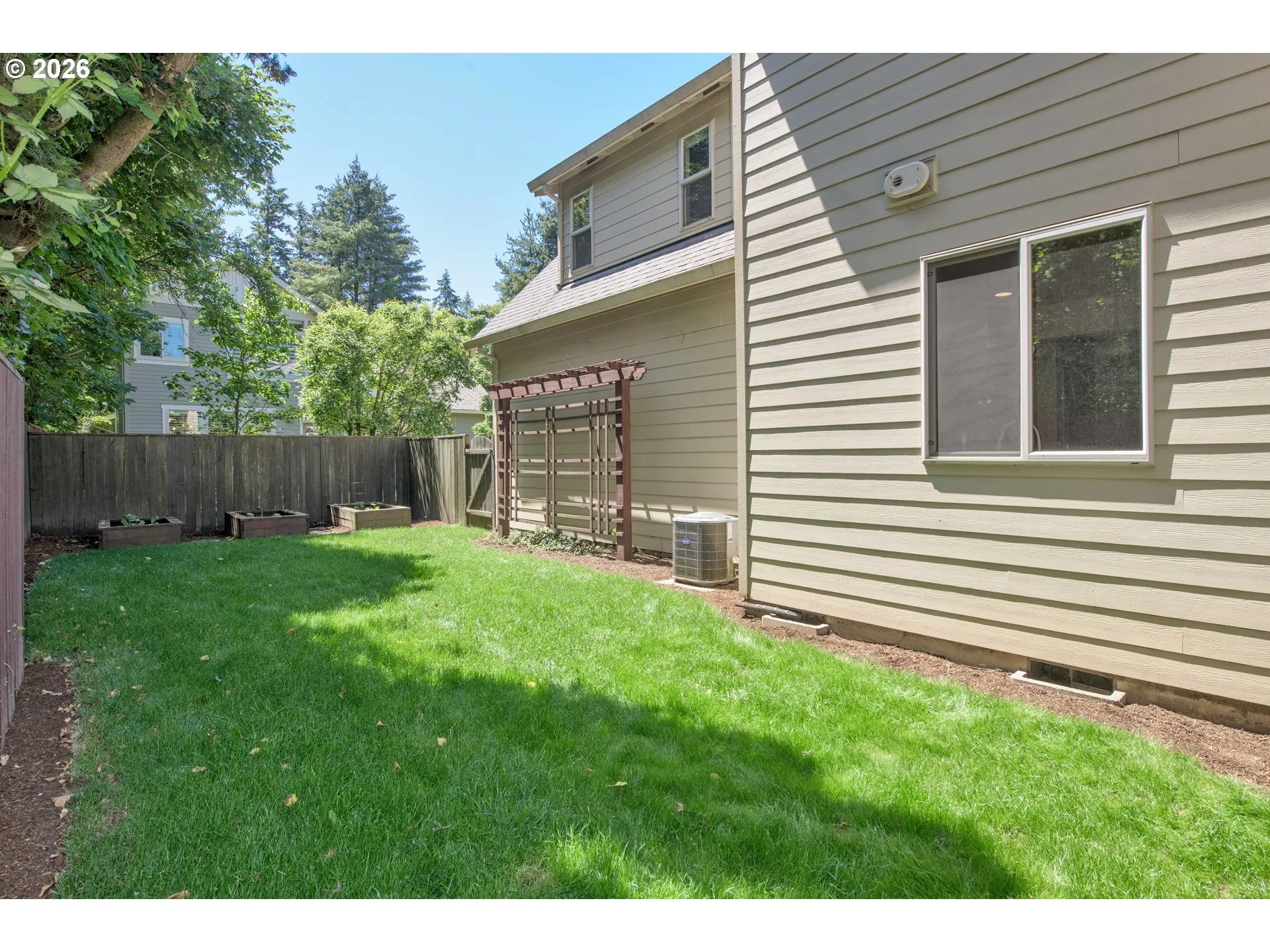 Backyard-# 3