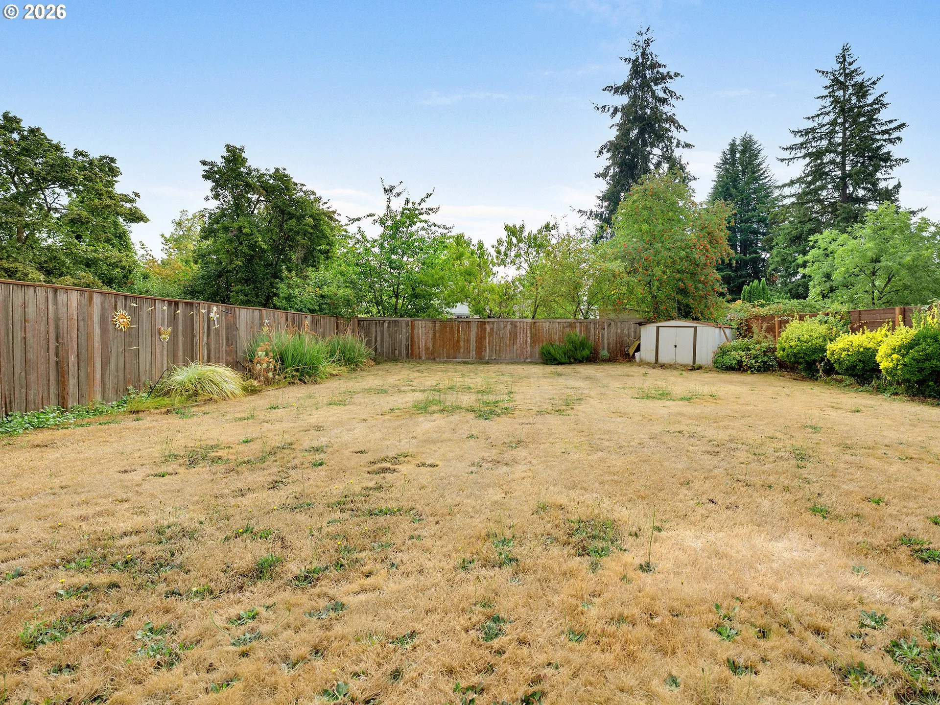 Backyard