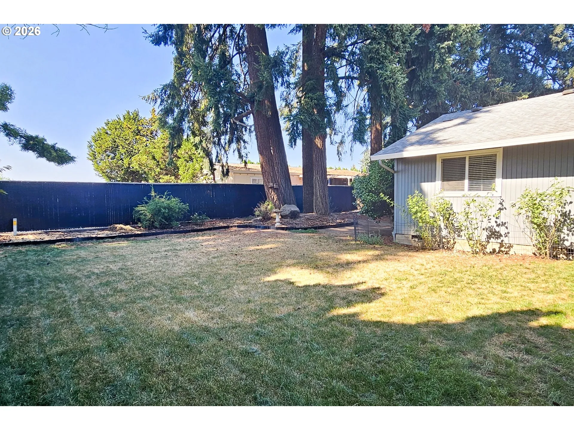 Backyard-Fenced