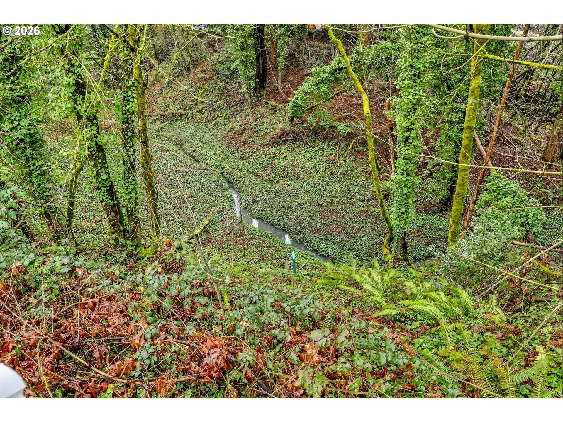 View-Wooded / Acreage