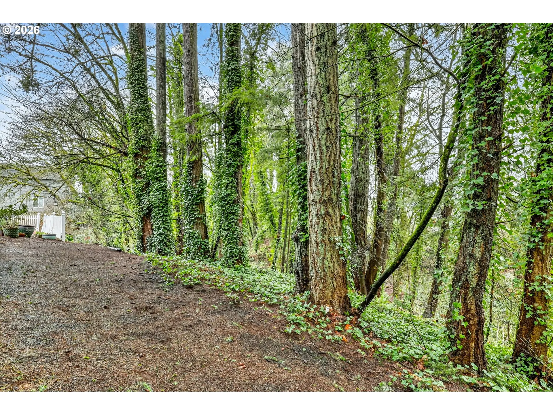 View-Trees