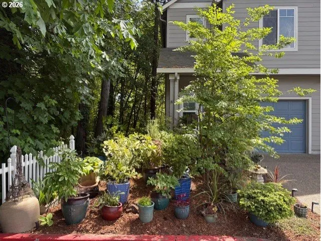 Front Yard