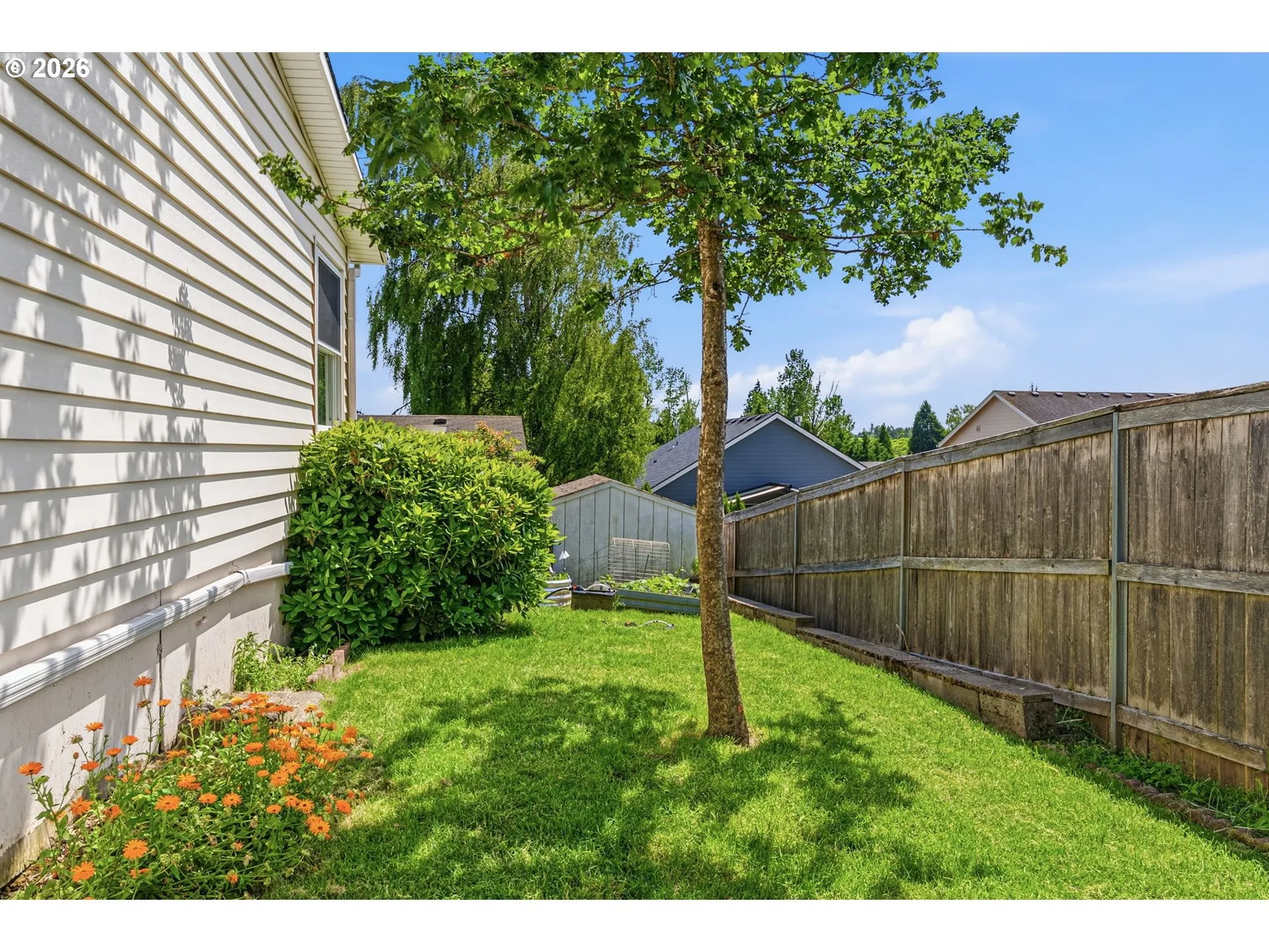 Backyard