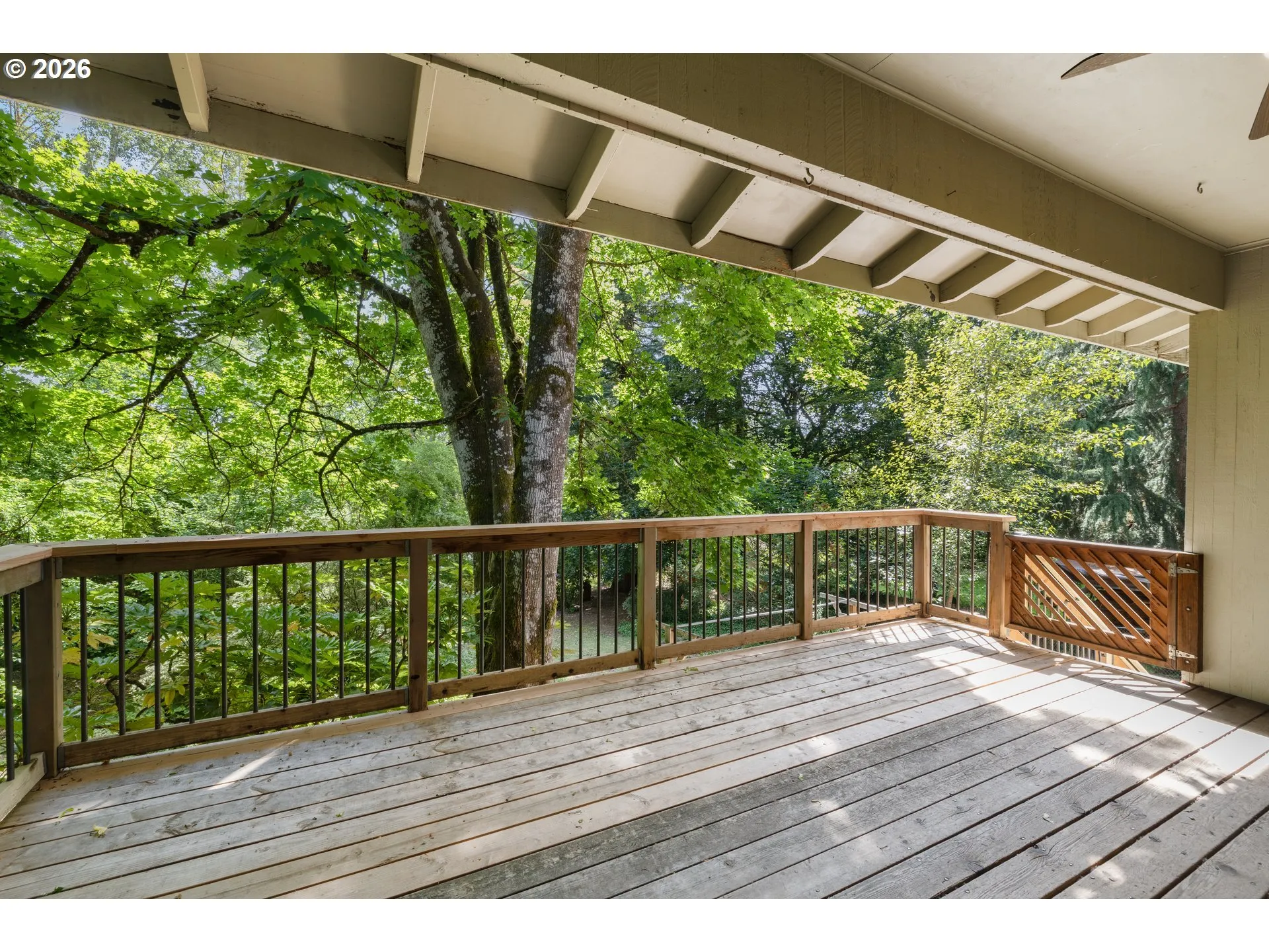 Deck-Main