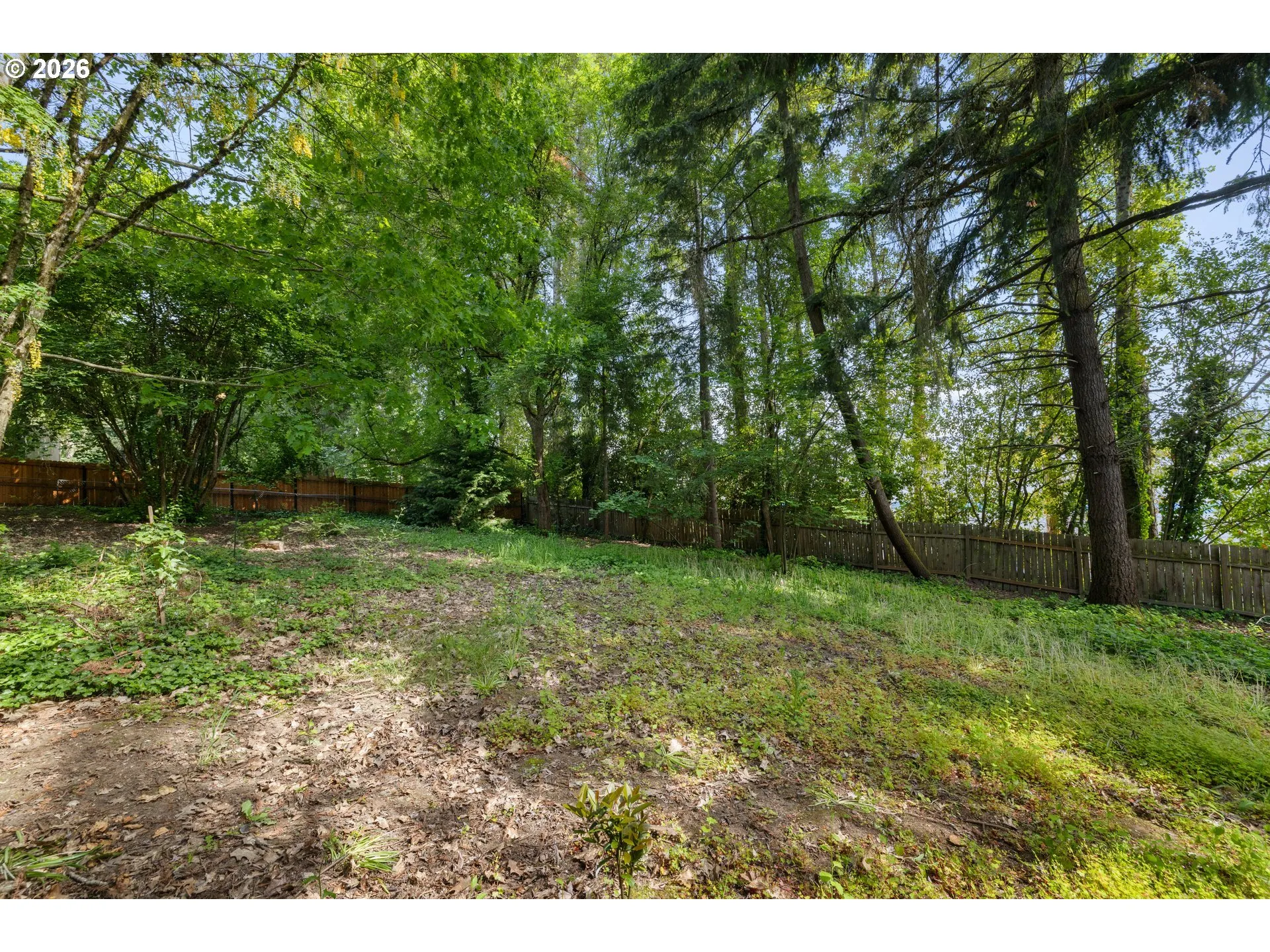Backyard-Fenced