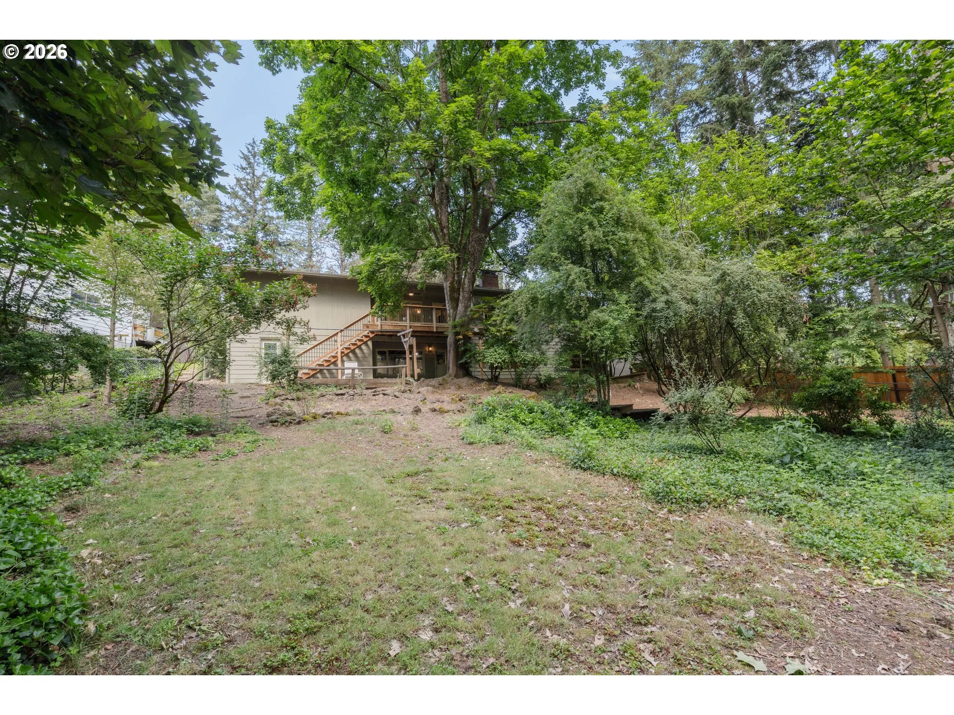 Backyard-View From