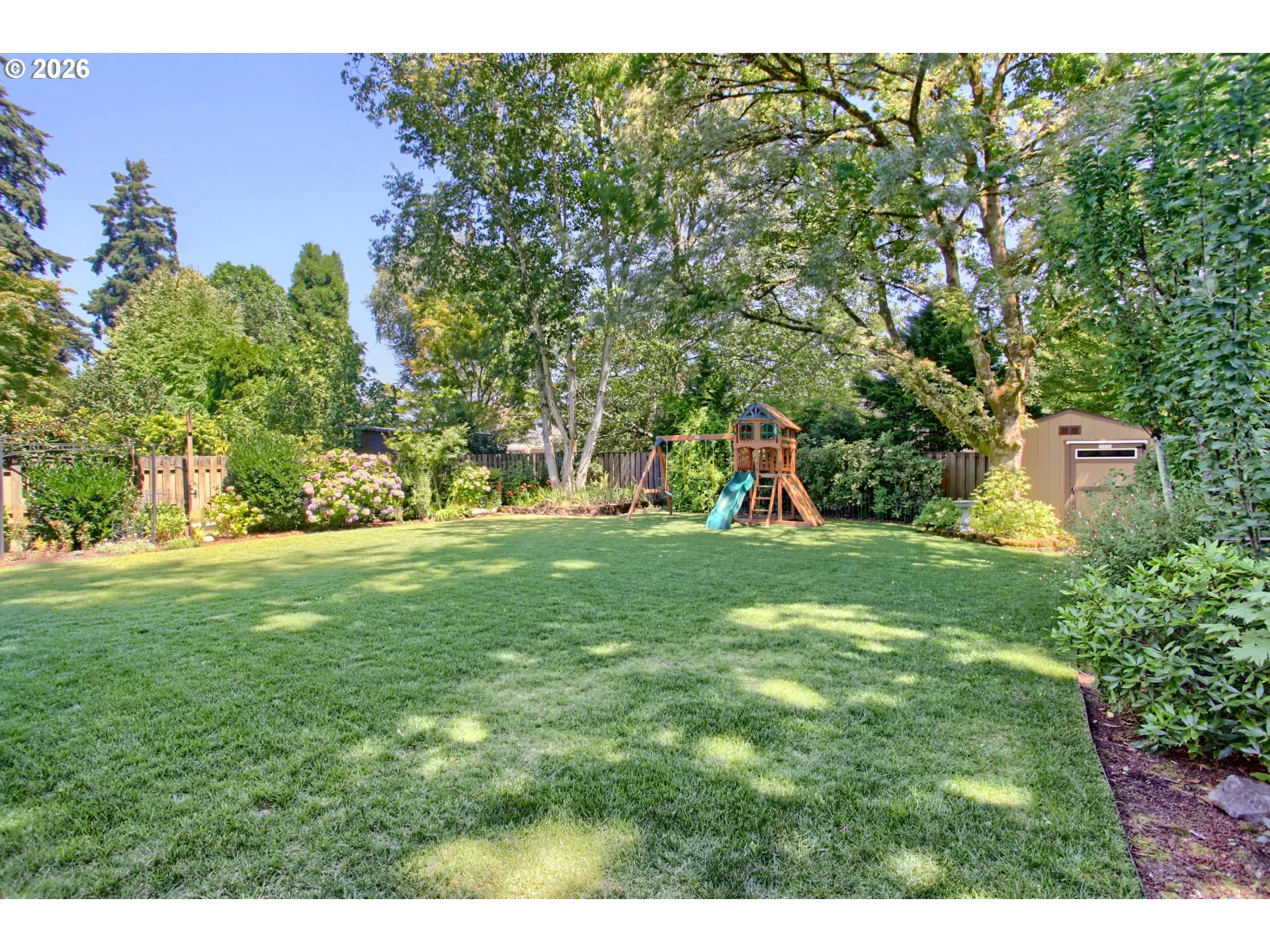 Backyard-View From