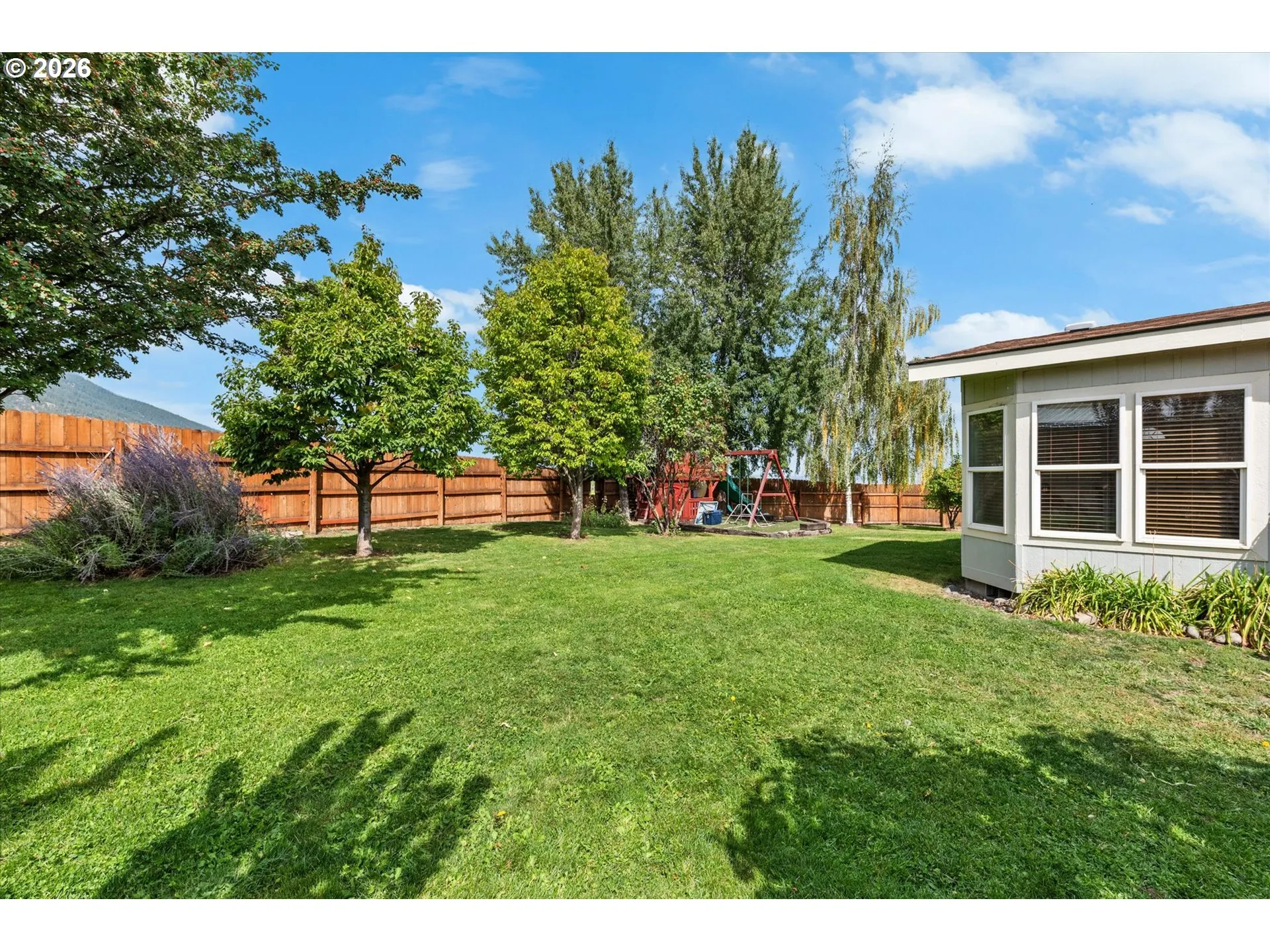 Backyard-Fenced