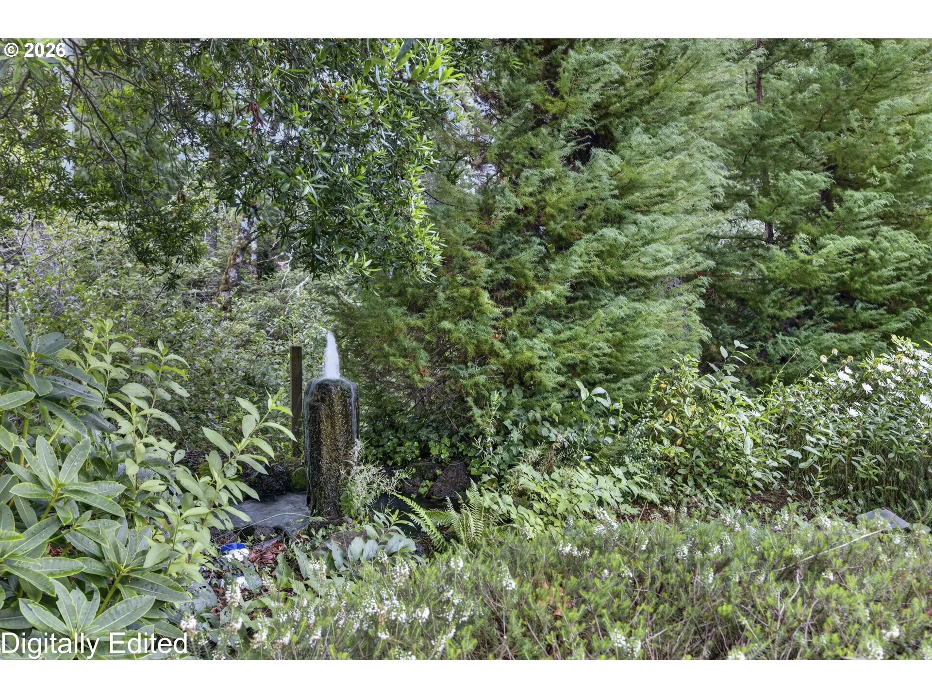 Water Feature