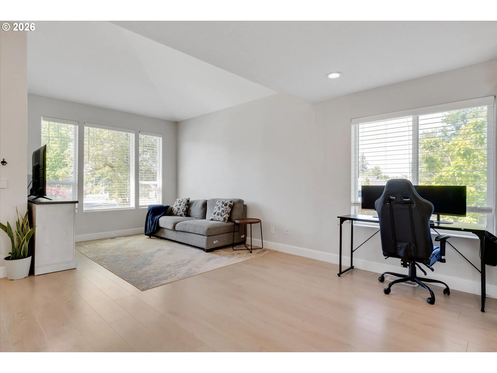 Living Room-Vaulted Ceilings