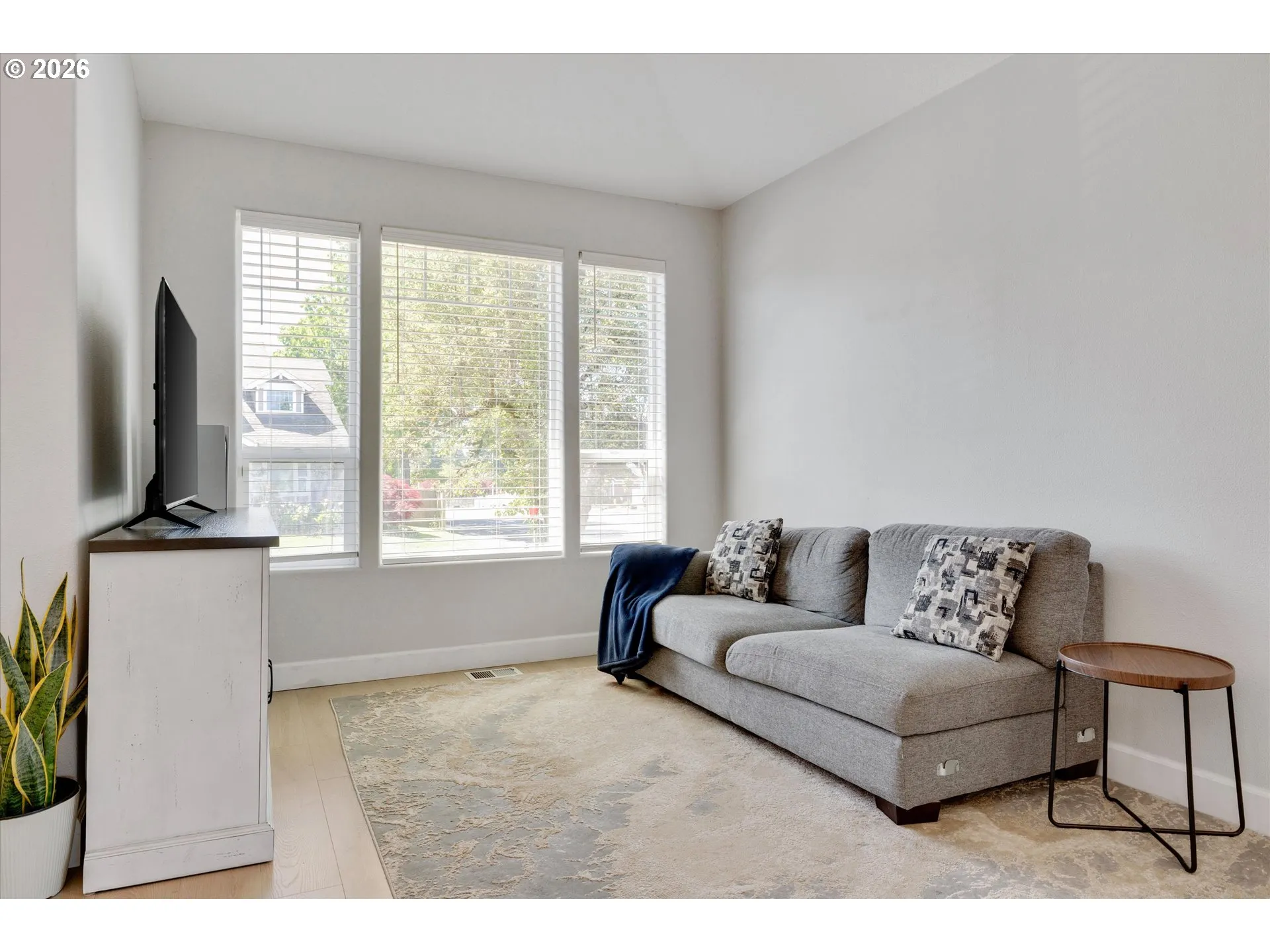 Living Room-Vaulted Ceilings